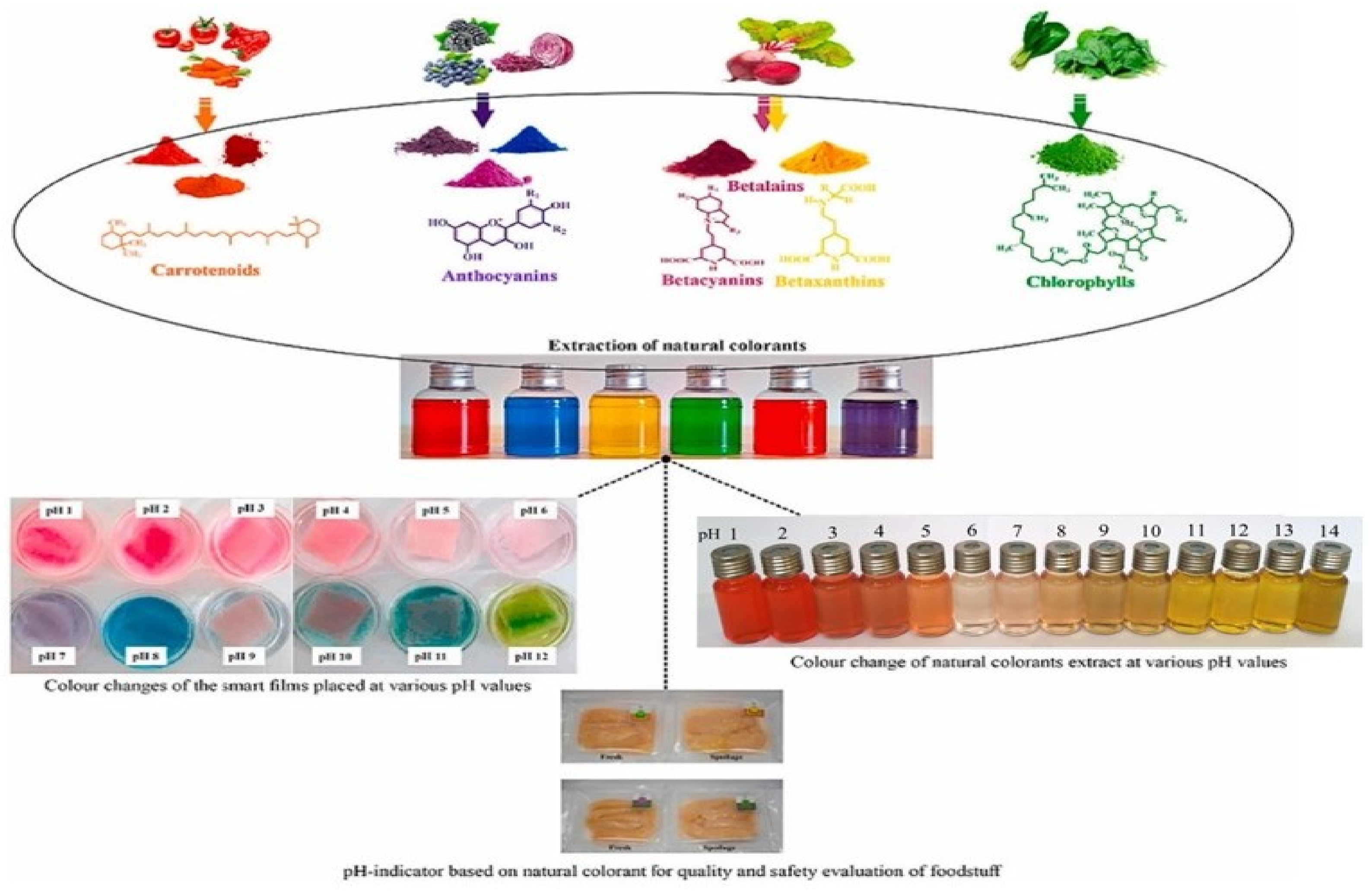 Foods 11 03797 g002 Foods 11 03797 g002