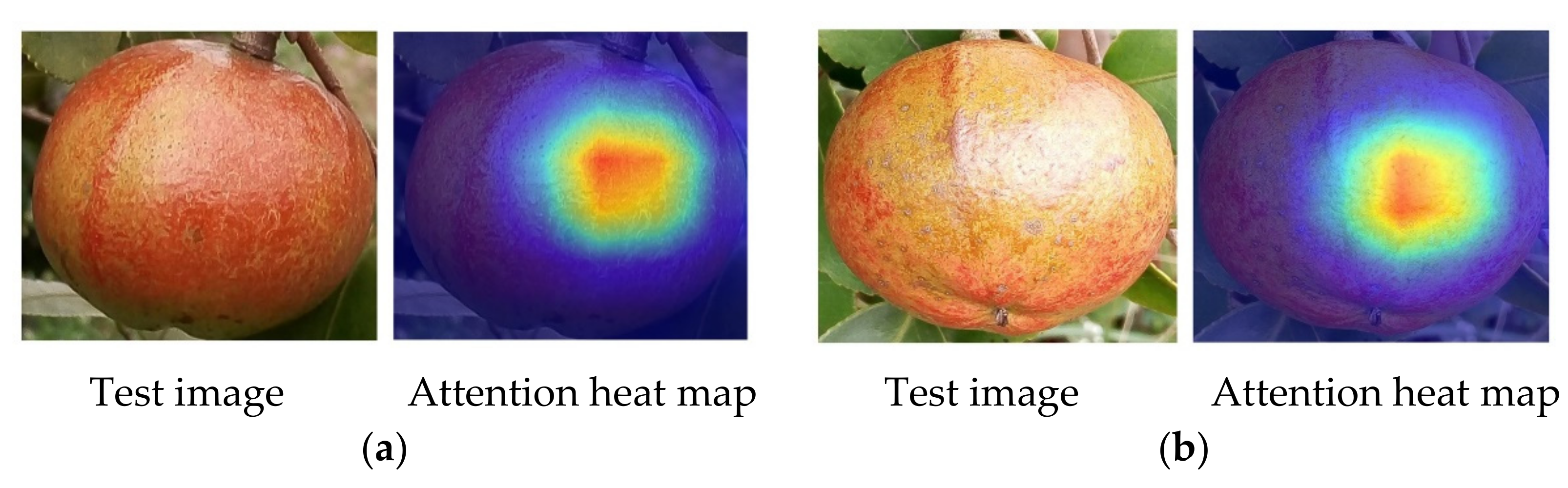 Foods 11 03800 g008a