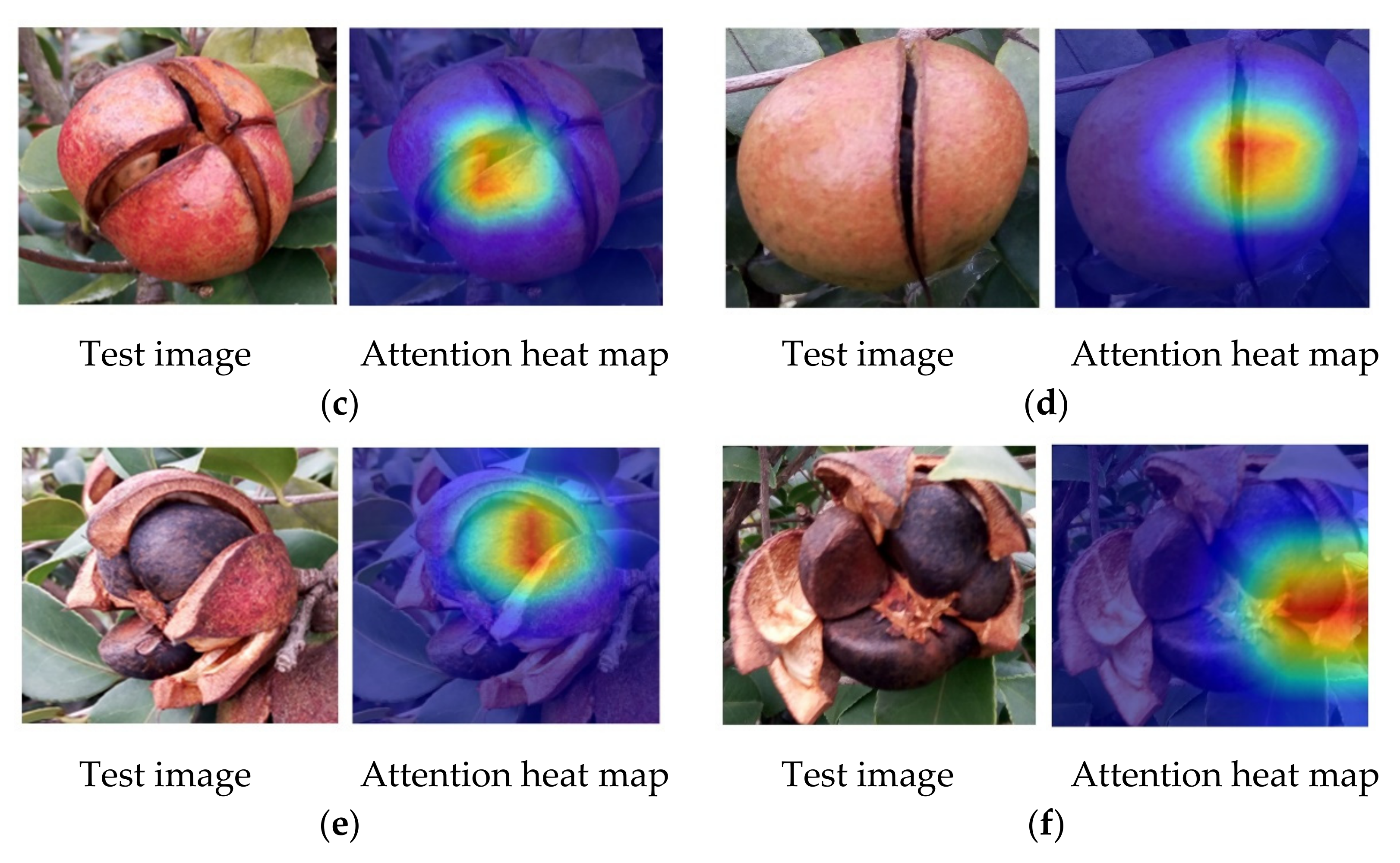Foods 11 03800 g008b