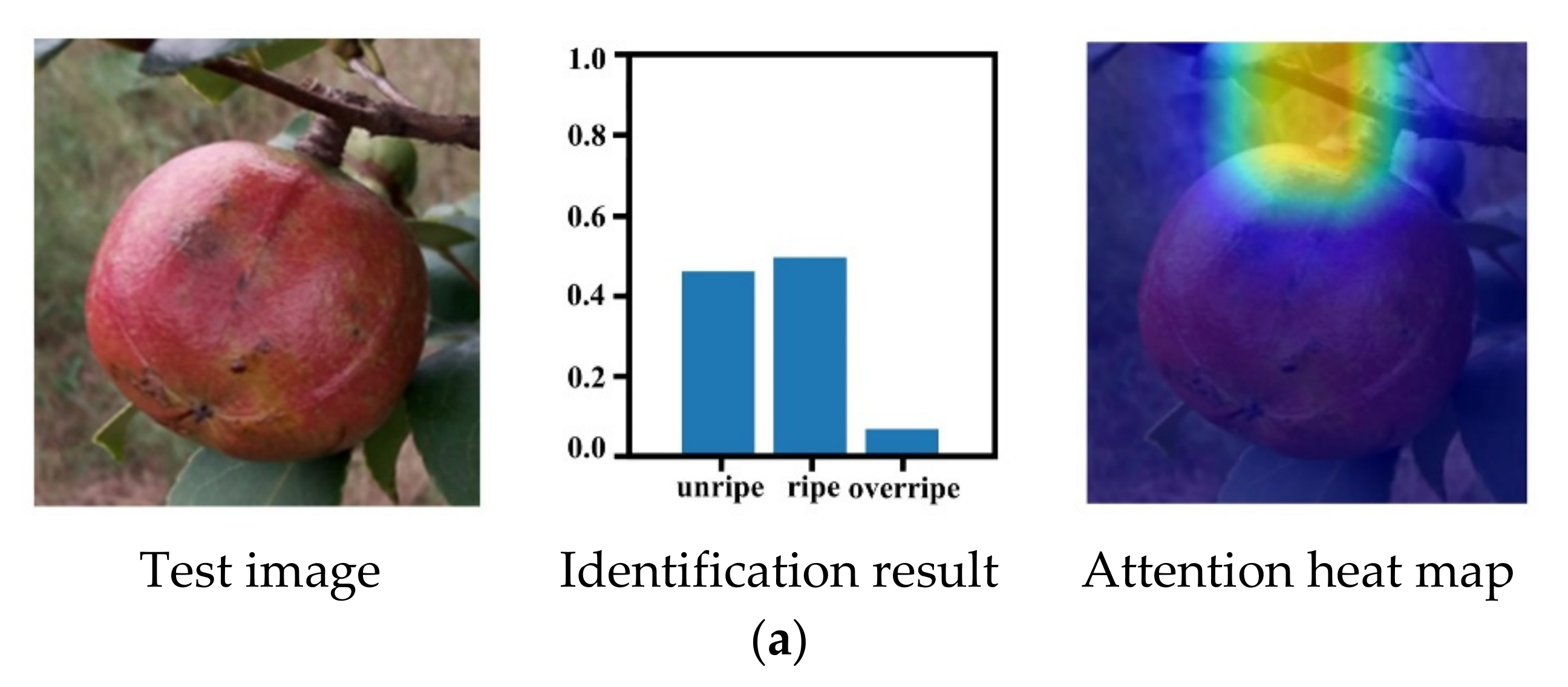 Foods 11 03800 g009a