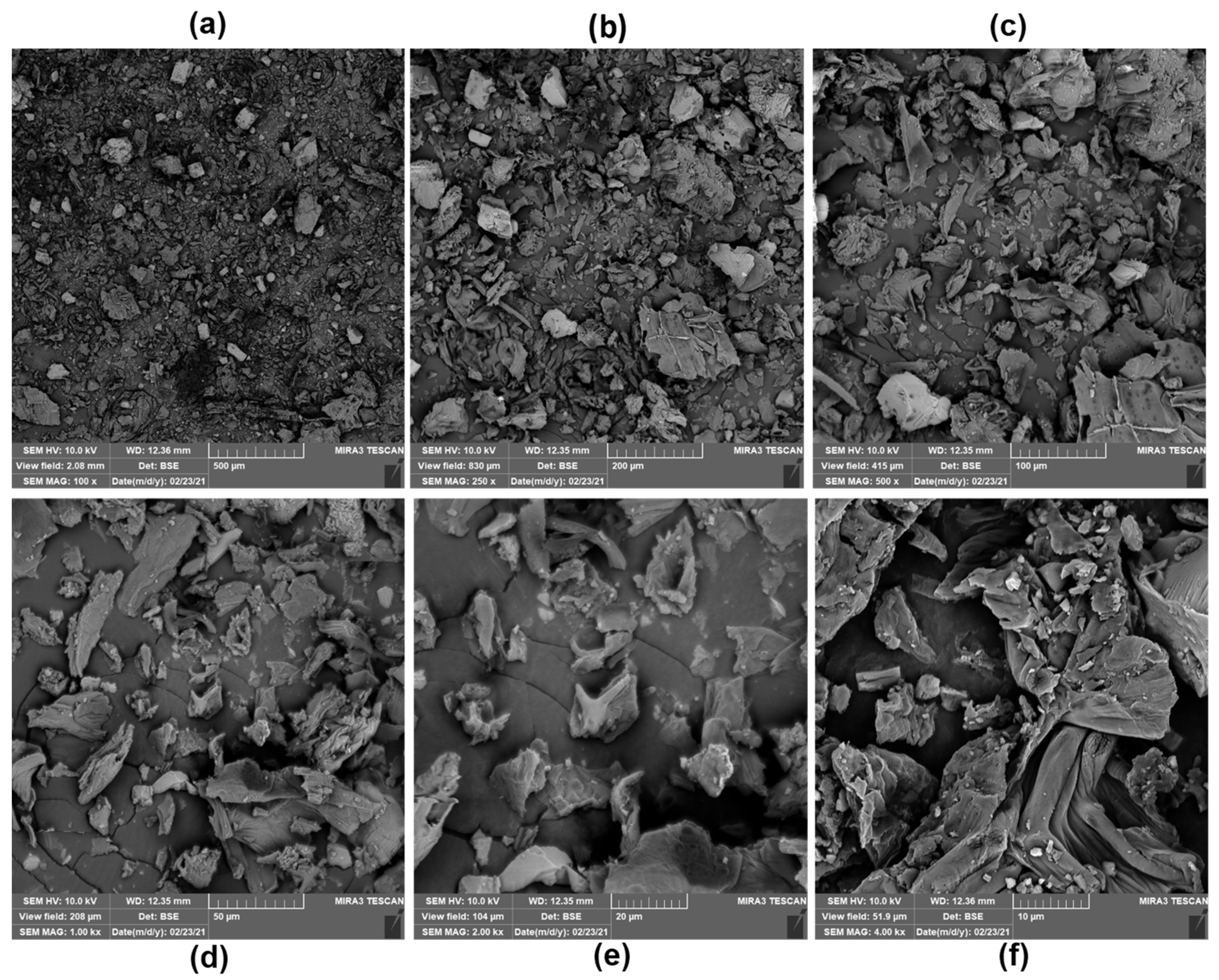 Foods 11 03814 g001 Foods 11 03814 g001
