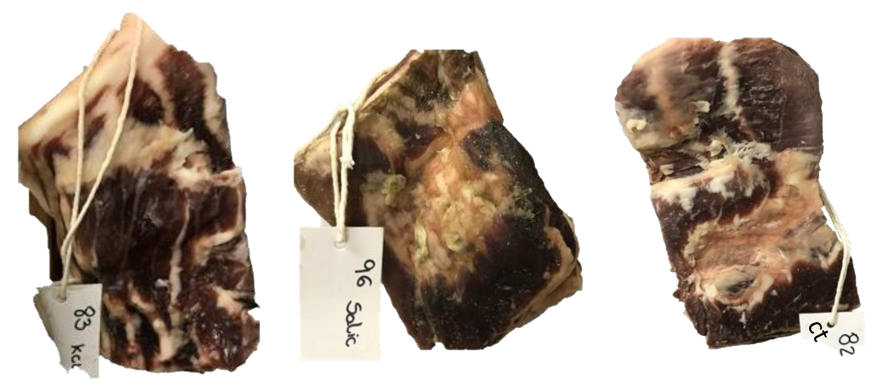 Foods 11 03816 g002 Foods 11 03816 g002