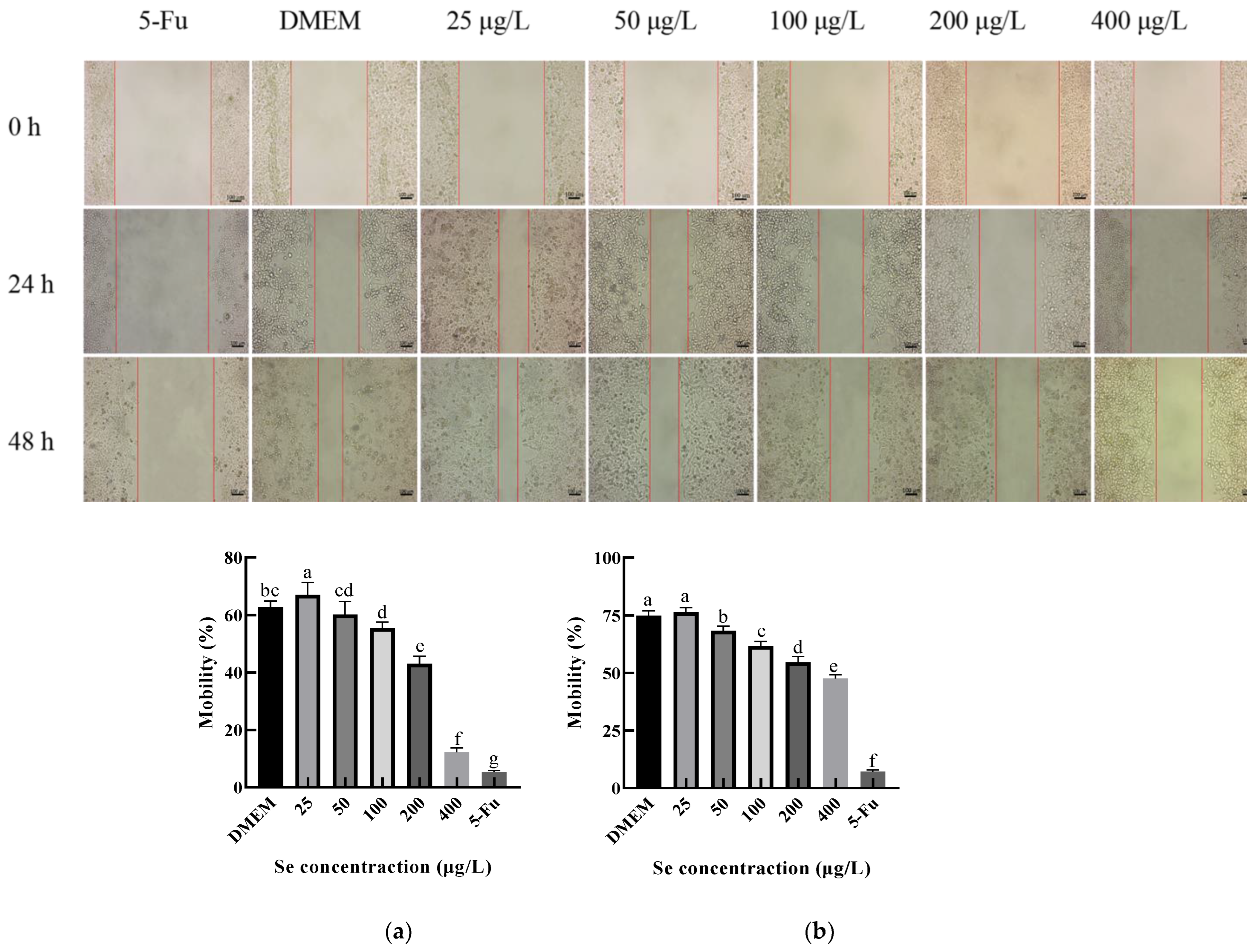 Foods 11 03823 g012 Foods 11 03823 g012
