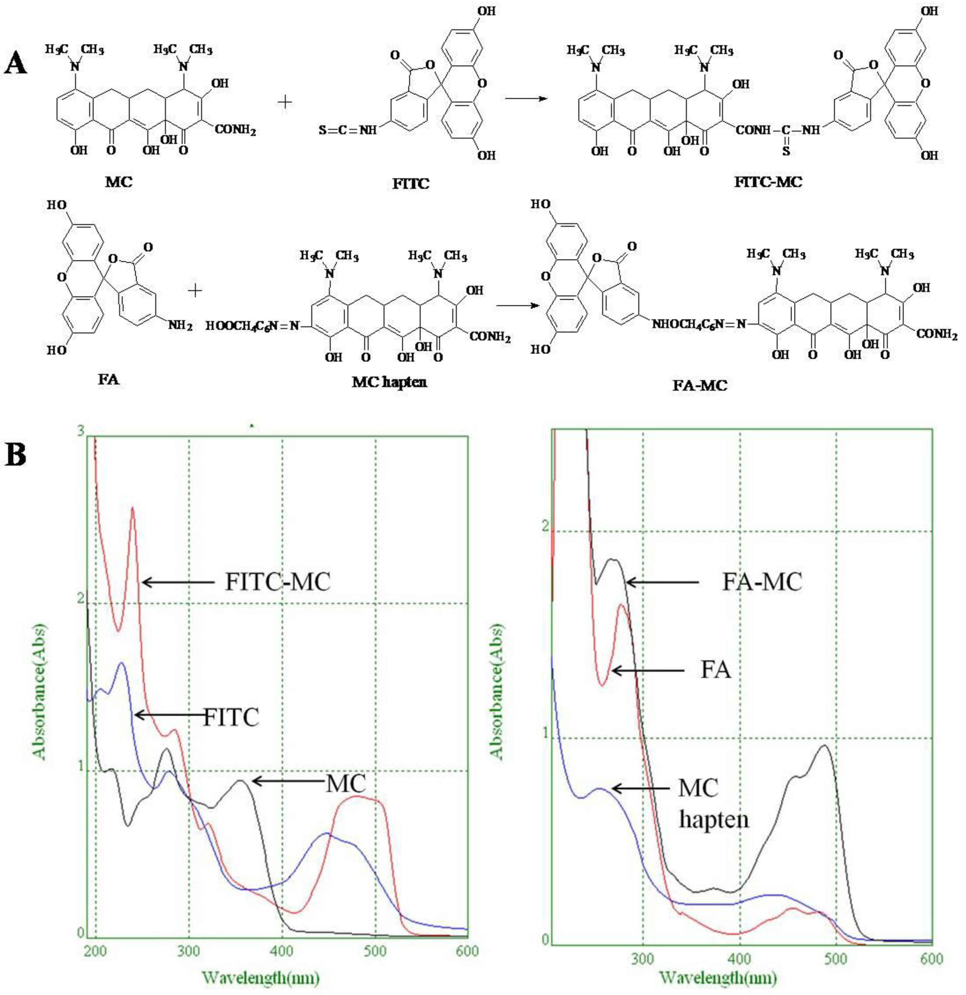 Foods 11 03850 g001 Foods 11 03850 g001
