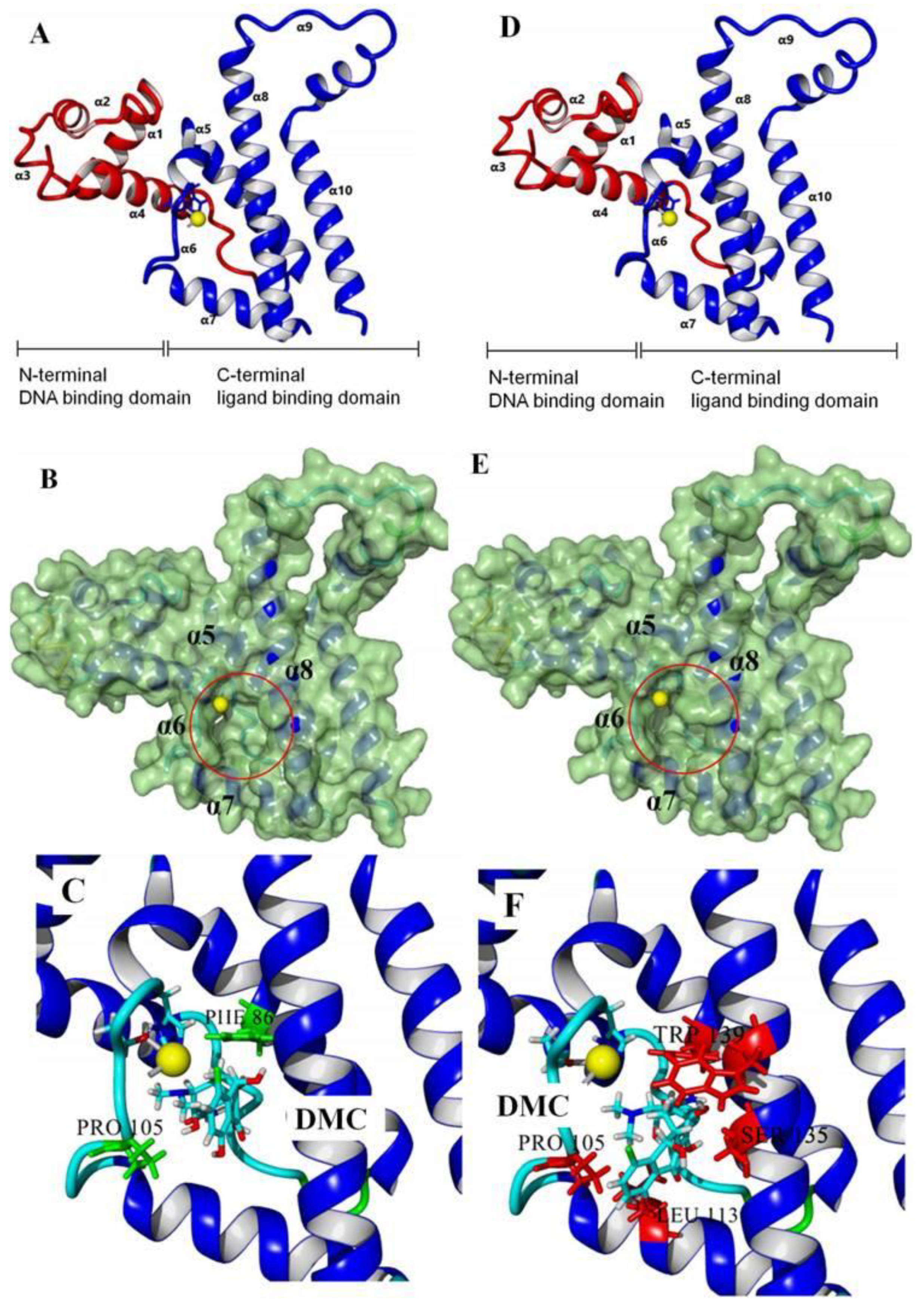 Foods 11 03850 g002 Foods 11 03850 g002