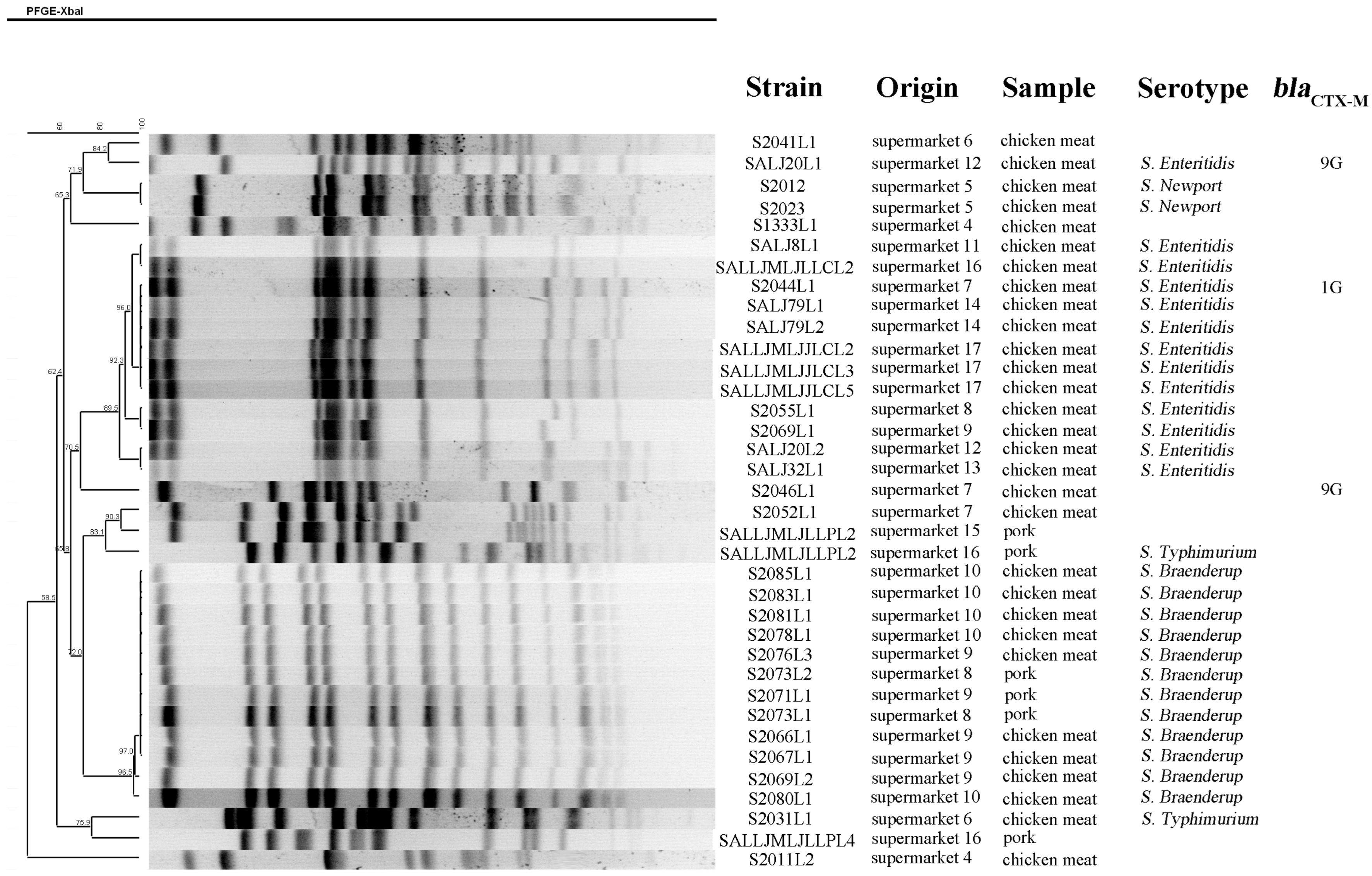 Foods 11 03854 g001 Foods 11 03854 g001