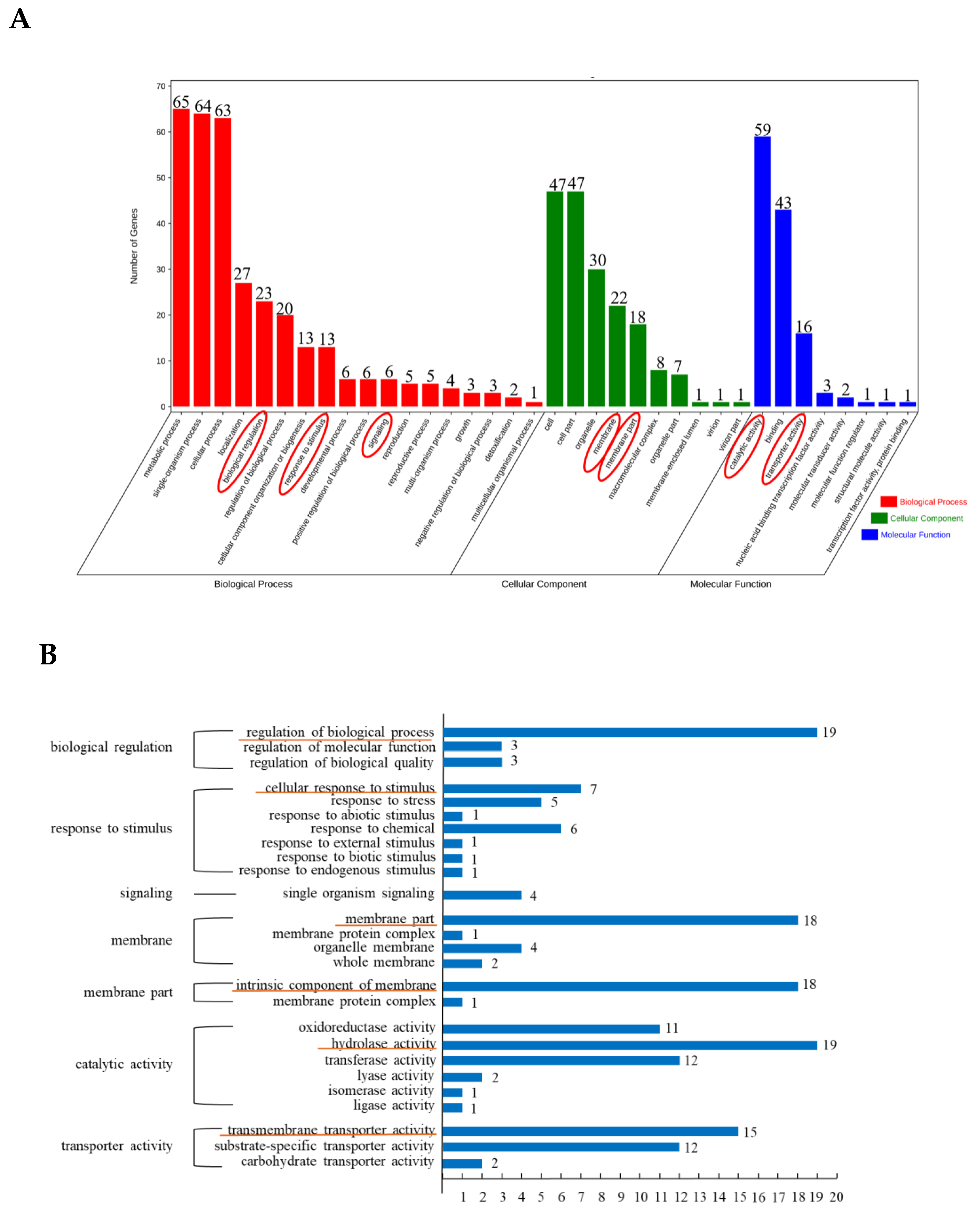Foods 11 03855 g002 Foods 11 03855 g002