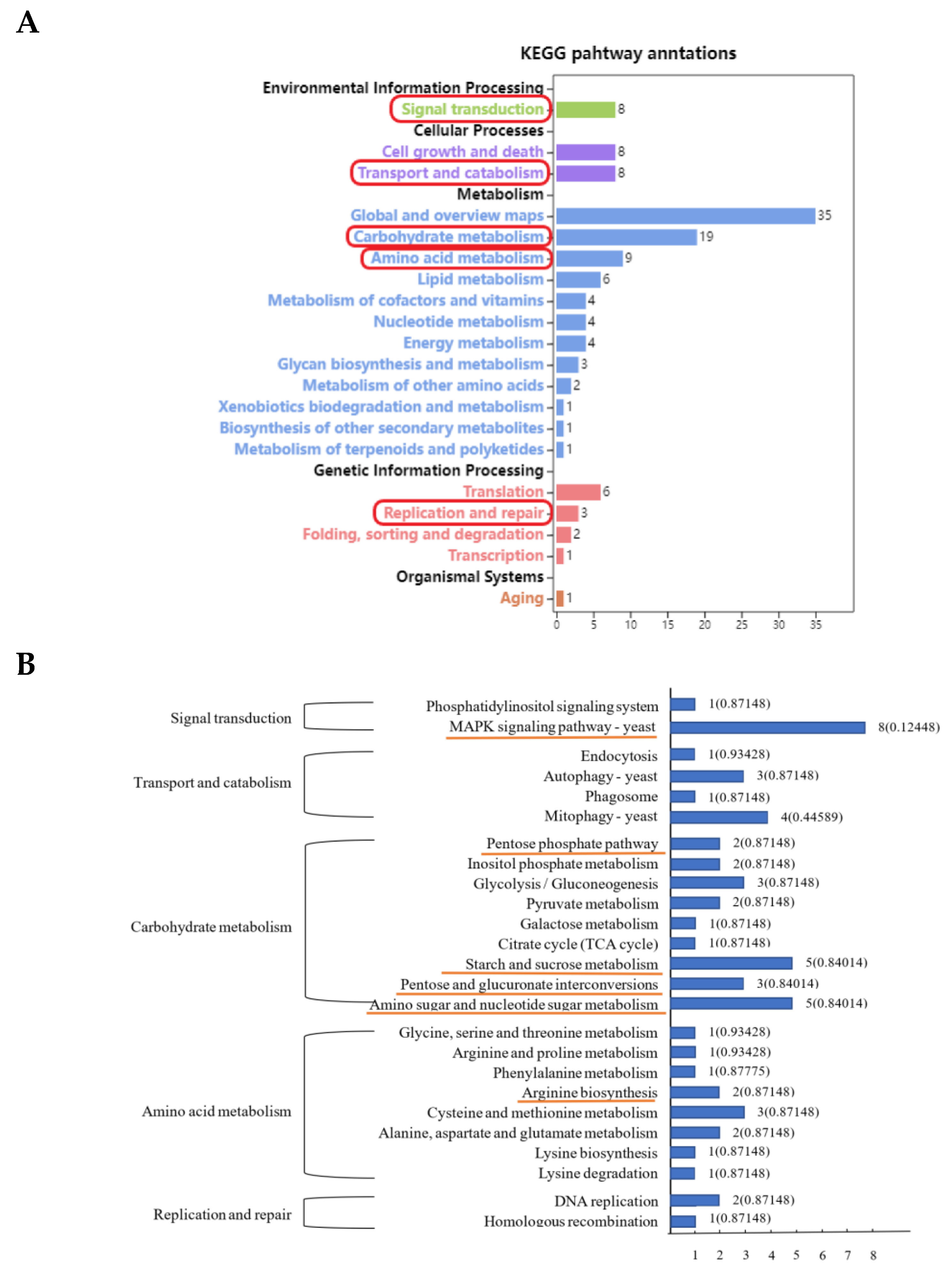 Foods 11 03855 g003 Foods 11 03855 g003