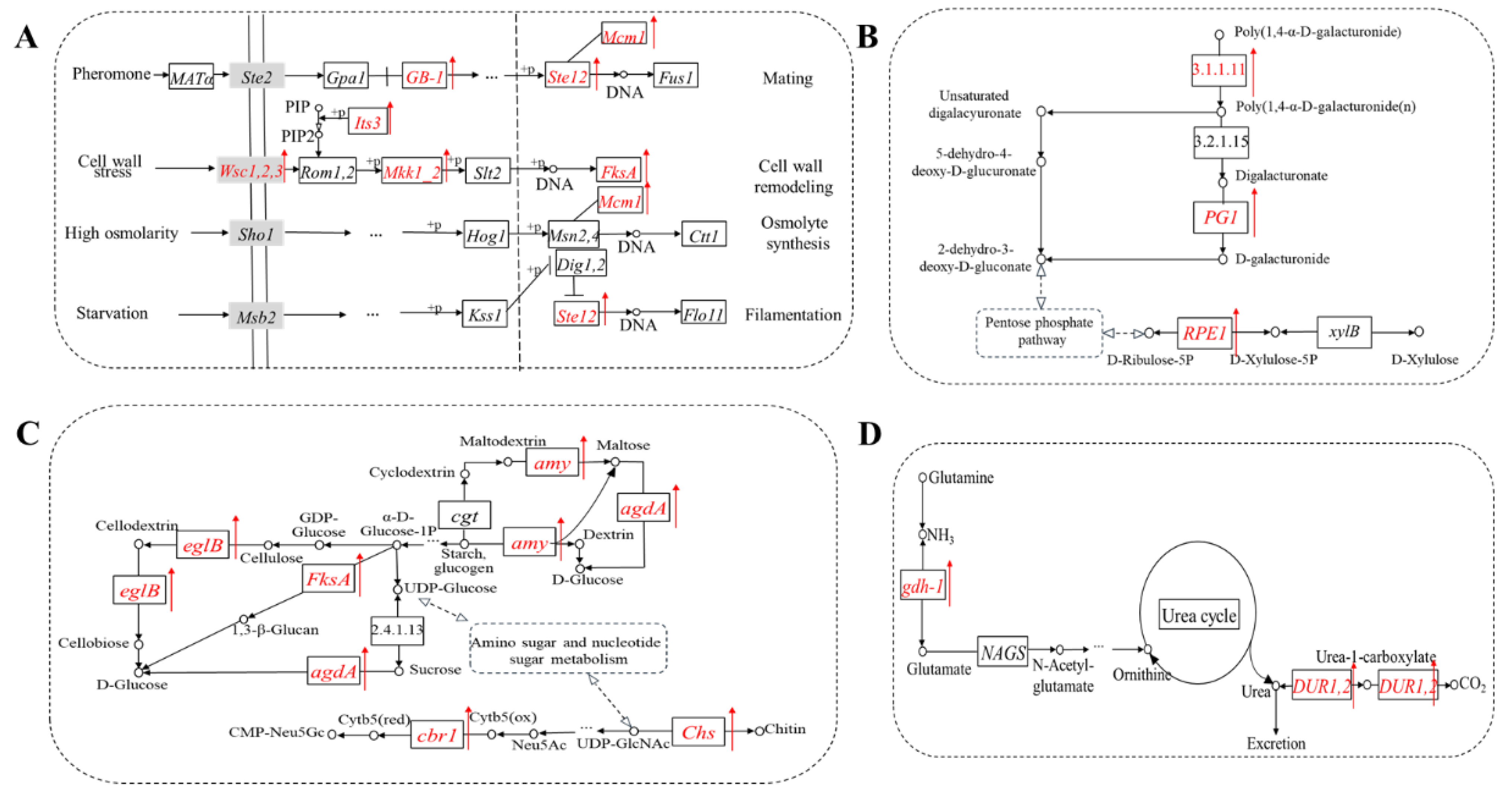 Foods 11 03855 g004 Foods 11 03855 g004