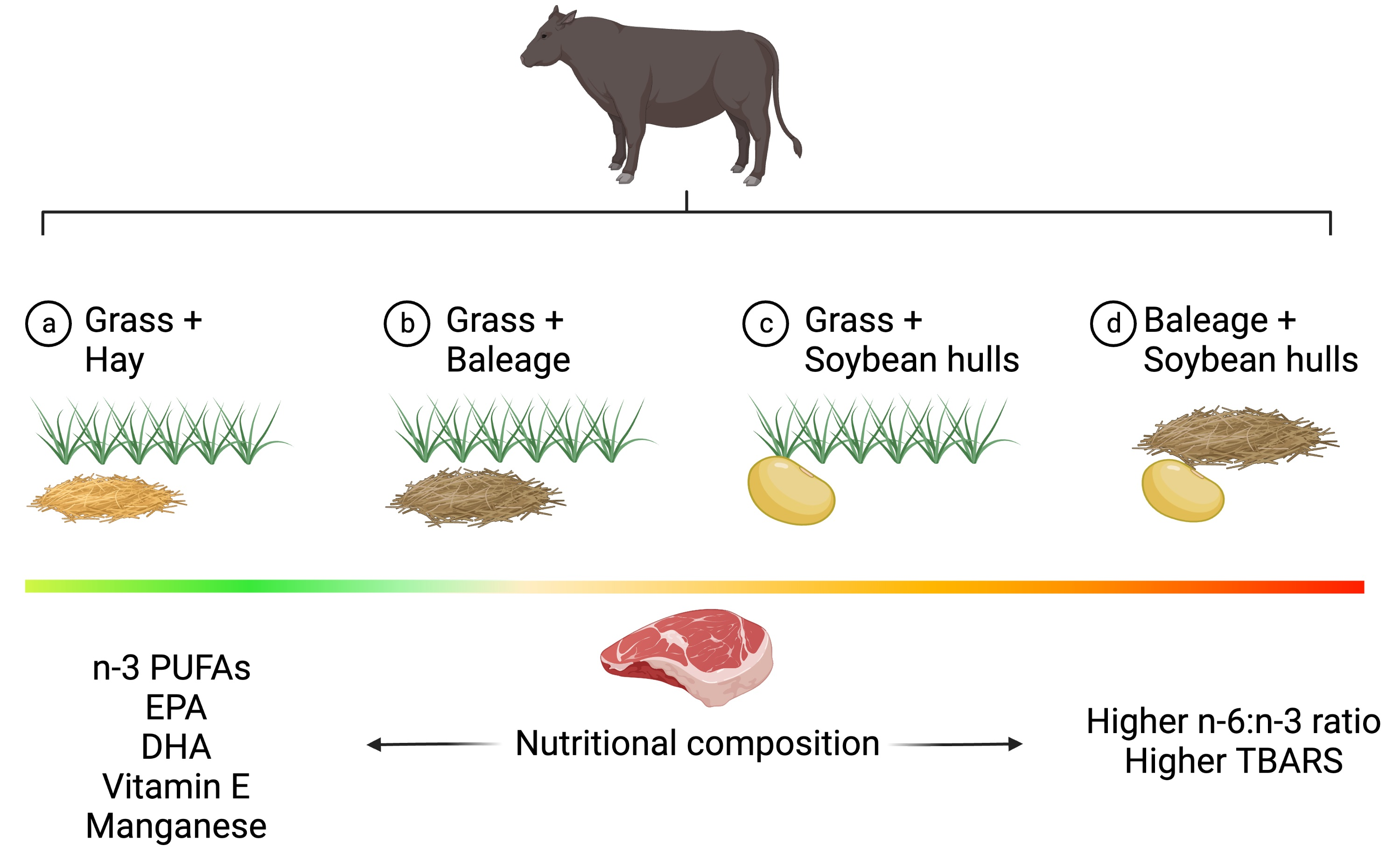 Foods Free FullText Effects of Hay, Baleage, and Soybean Hulls