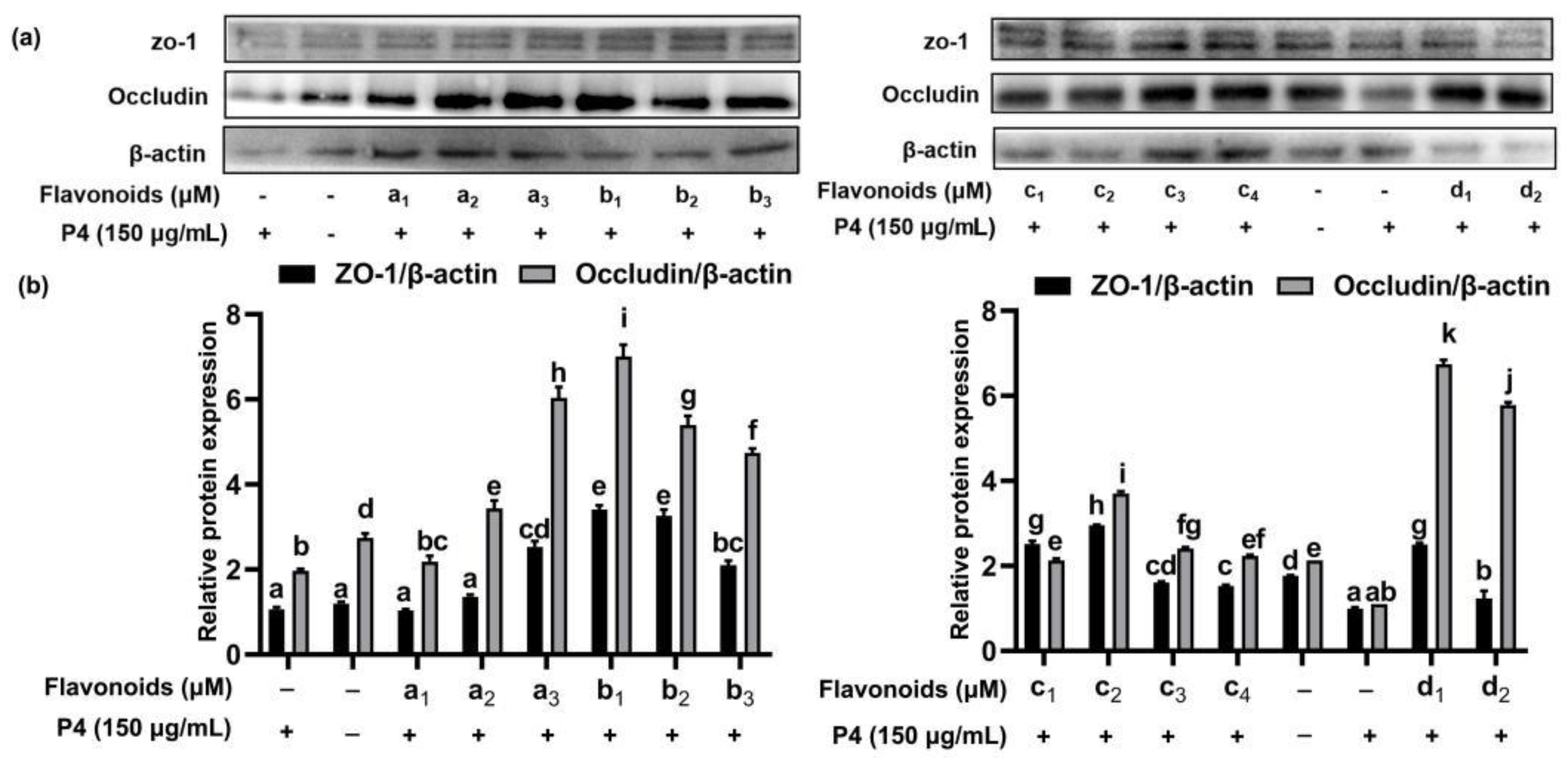 Foods 11 03857 g013 Foods 11 03857 g013