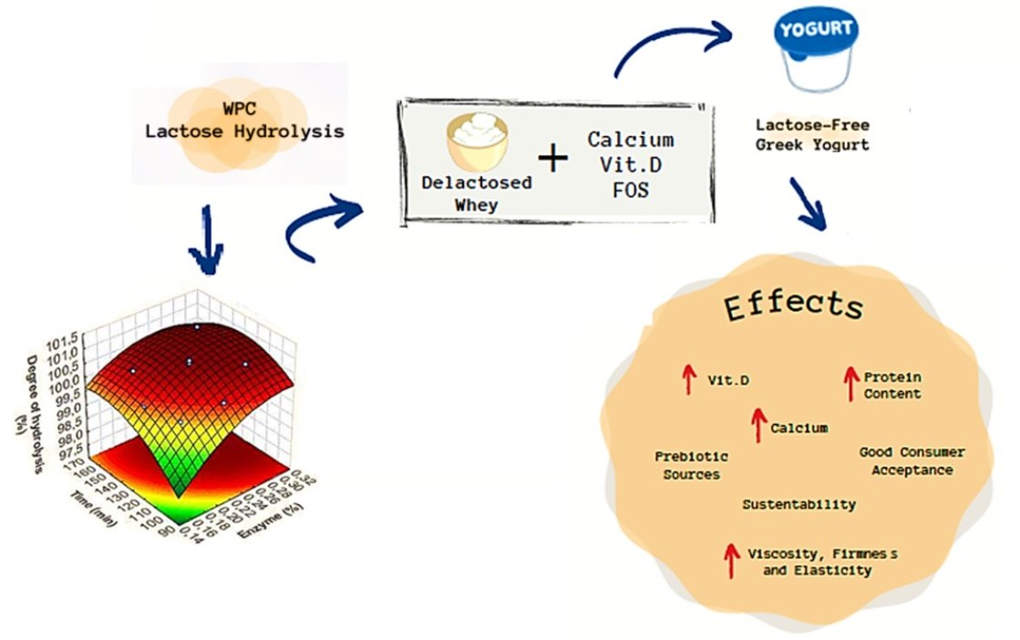 Foods Free FullText Application of LactoseFree Whey Protein to