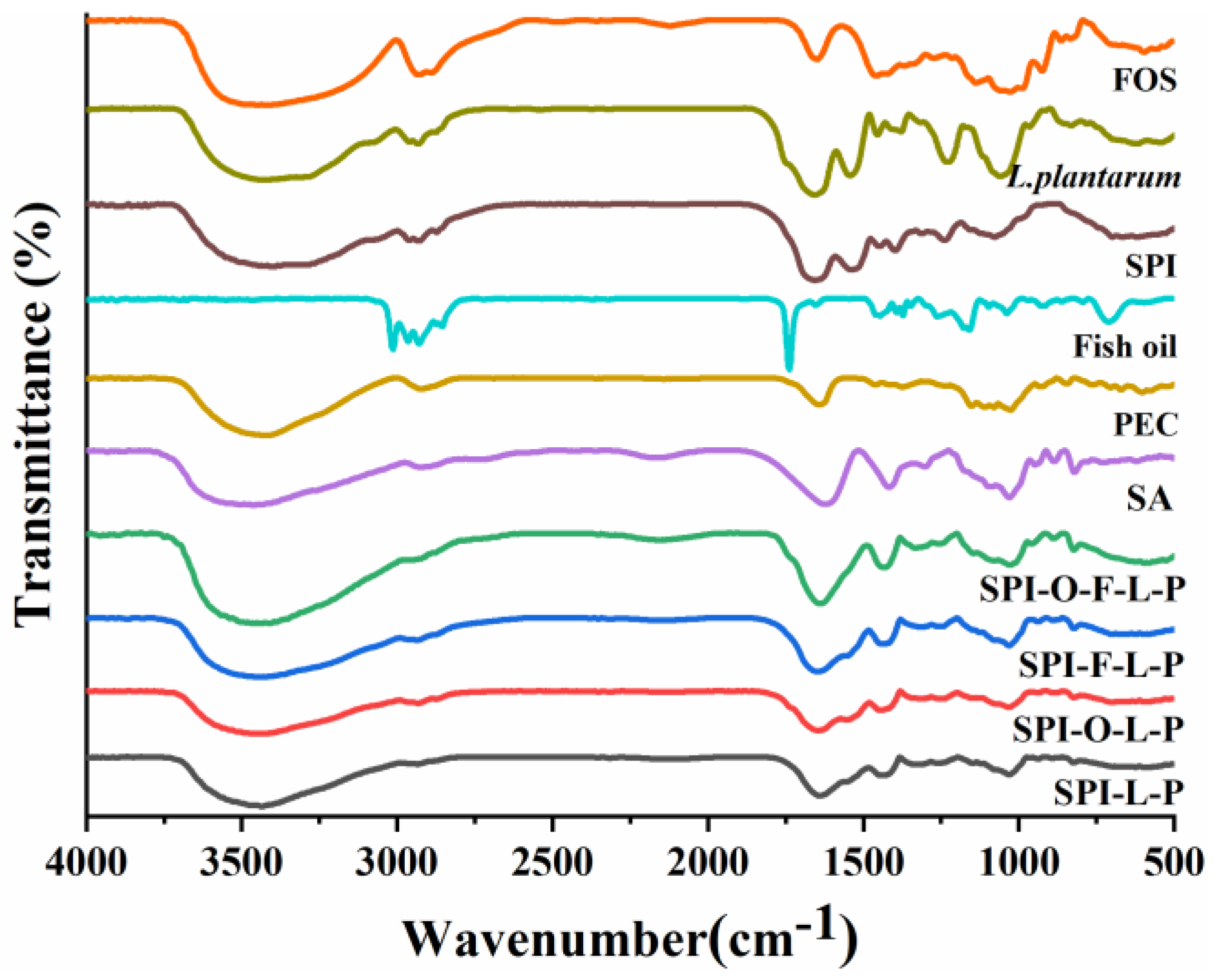 Foods 11 03872 g004 Foods 11 03872 g004