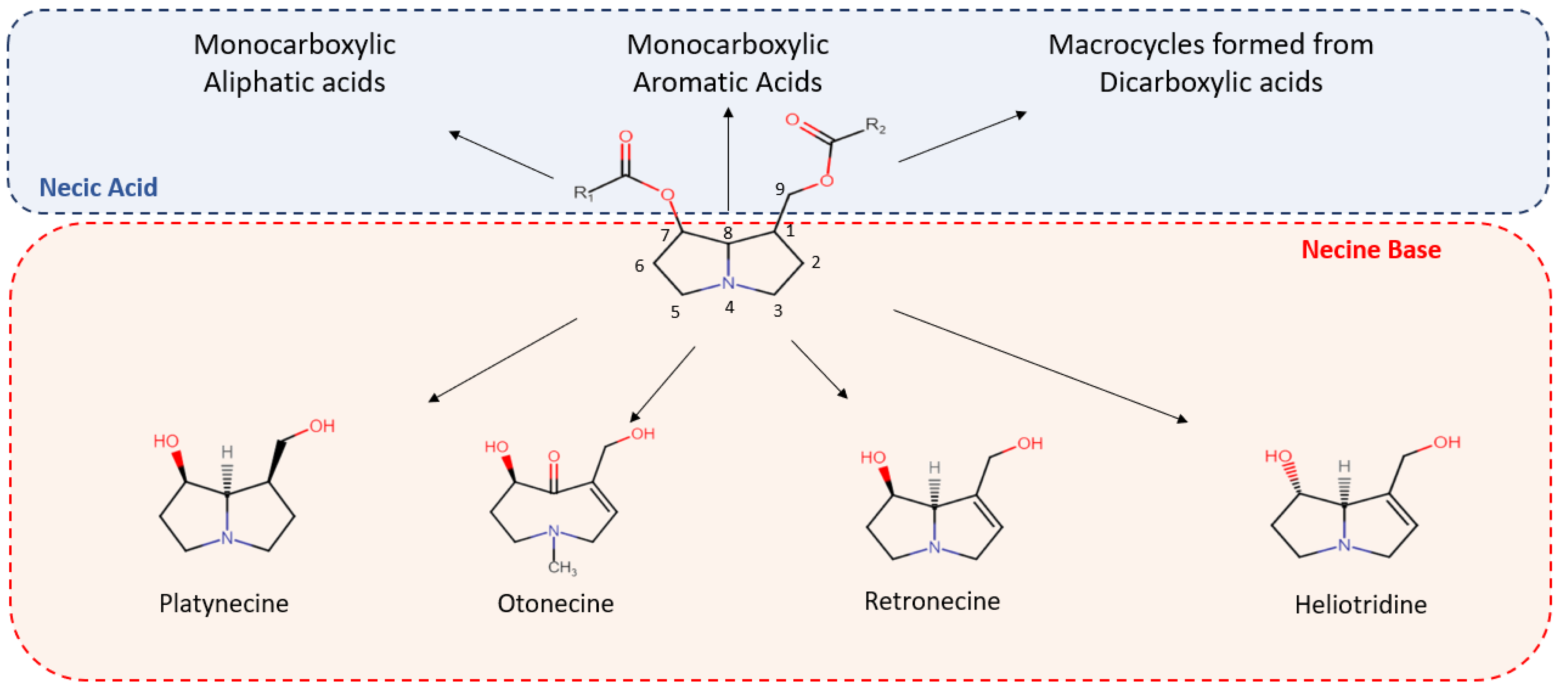 Foods 11 03873 g001 Foods 11 03873 g001
