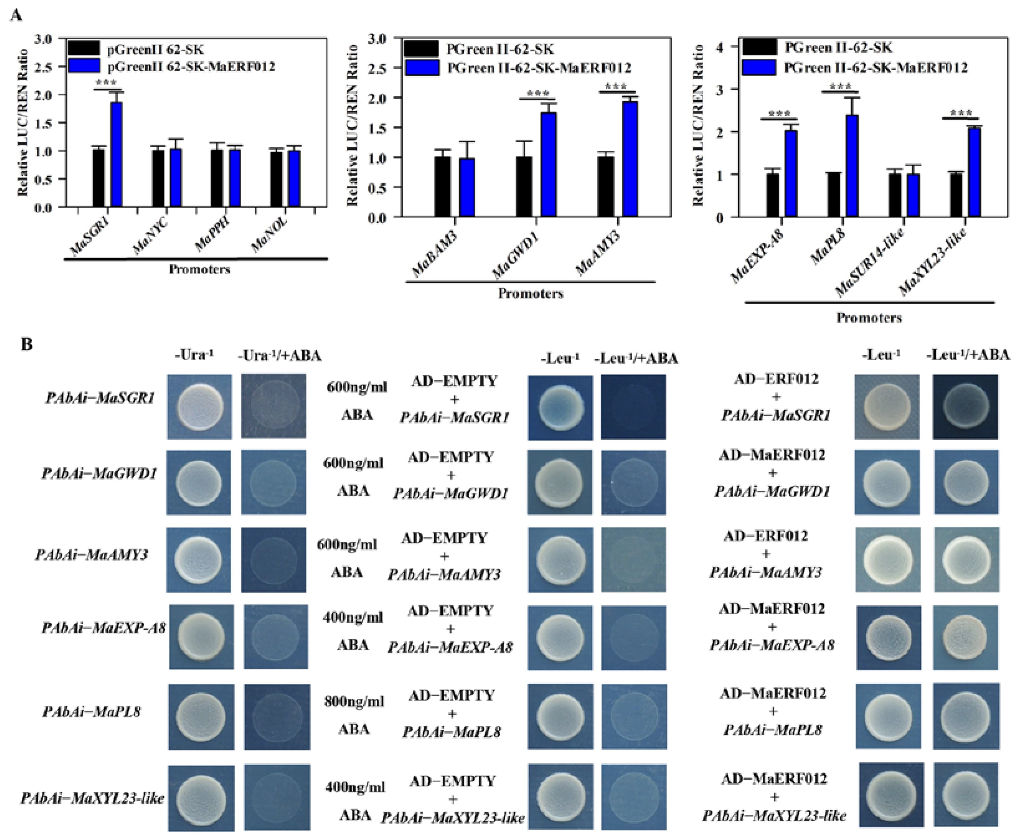 Foods 11 03882 g003 Foods 11 03882 g003