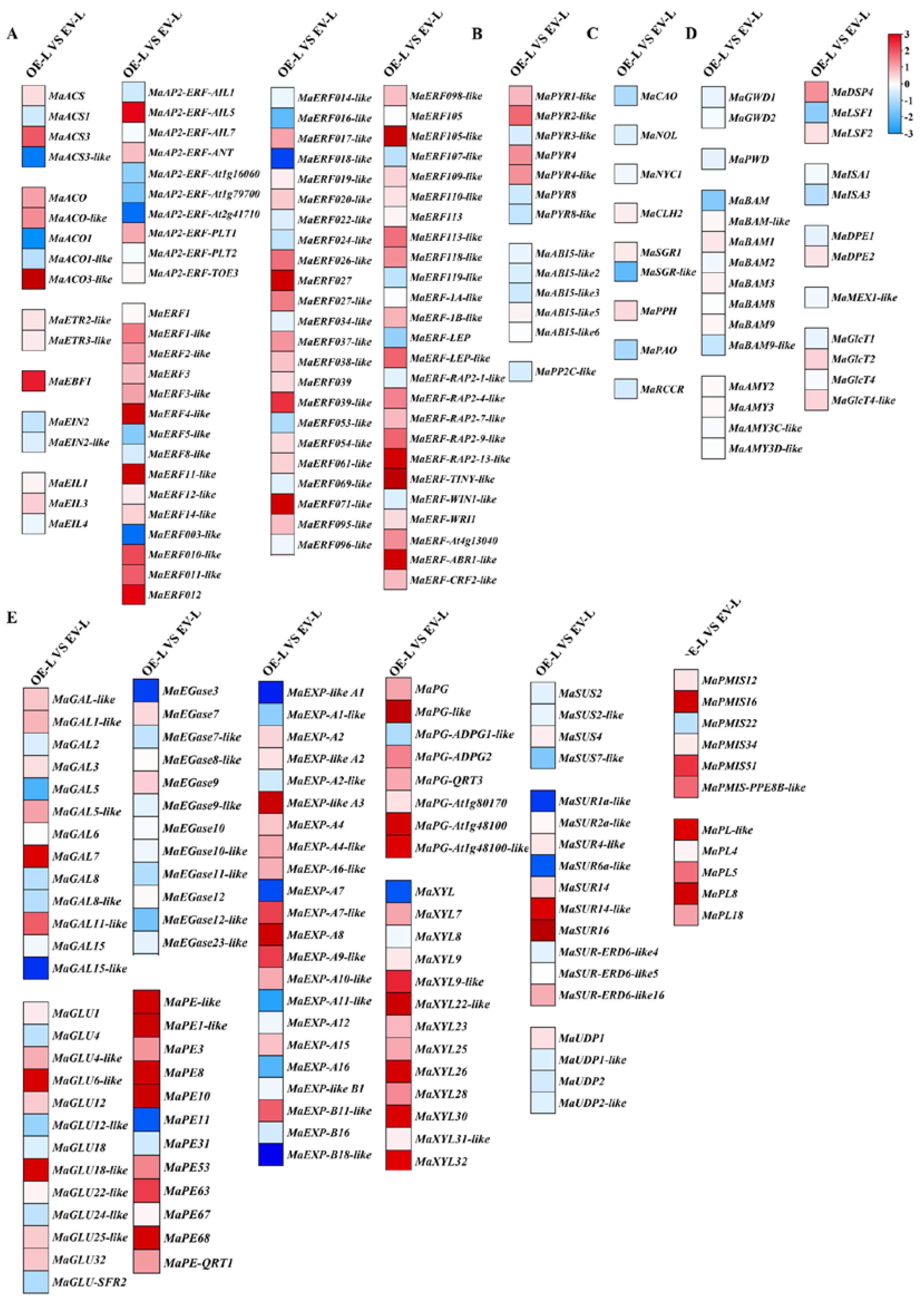 Foods 11 03882 g007 Foods 11 03882 g007
