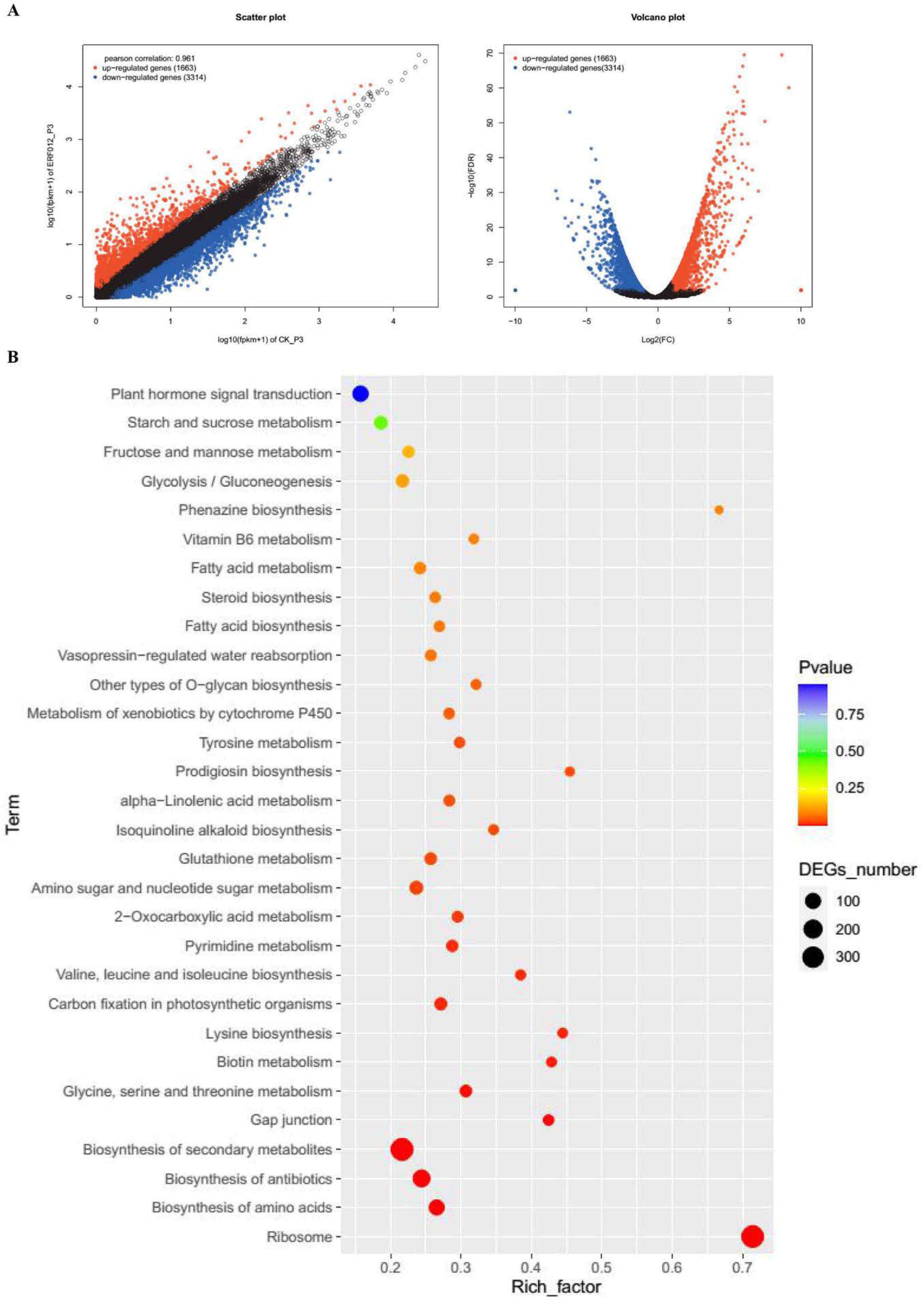 Foods 11 03882 g008 Foods 11 03882 g008