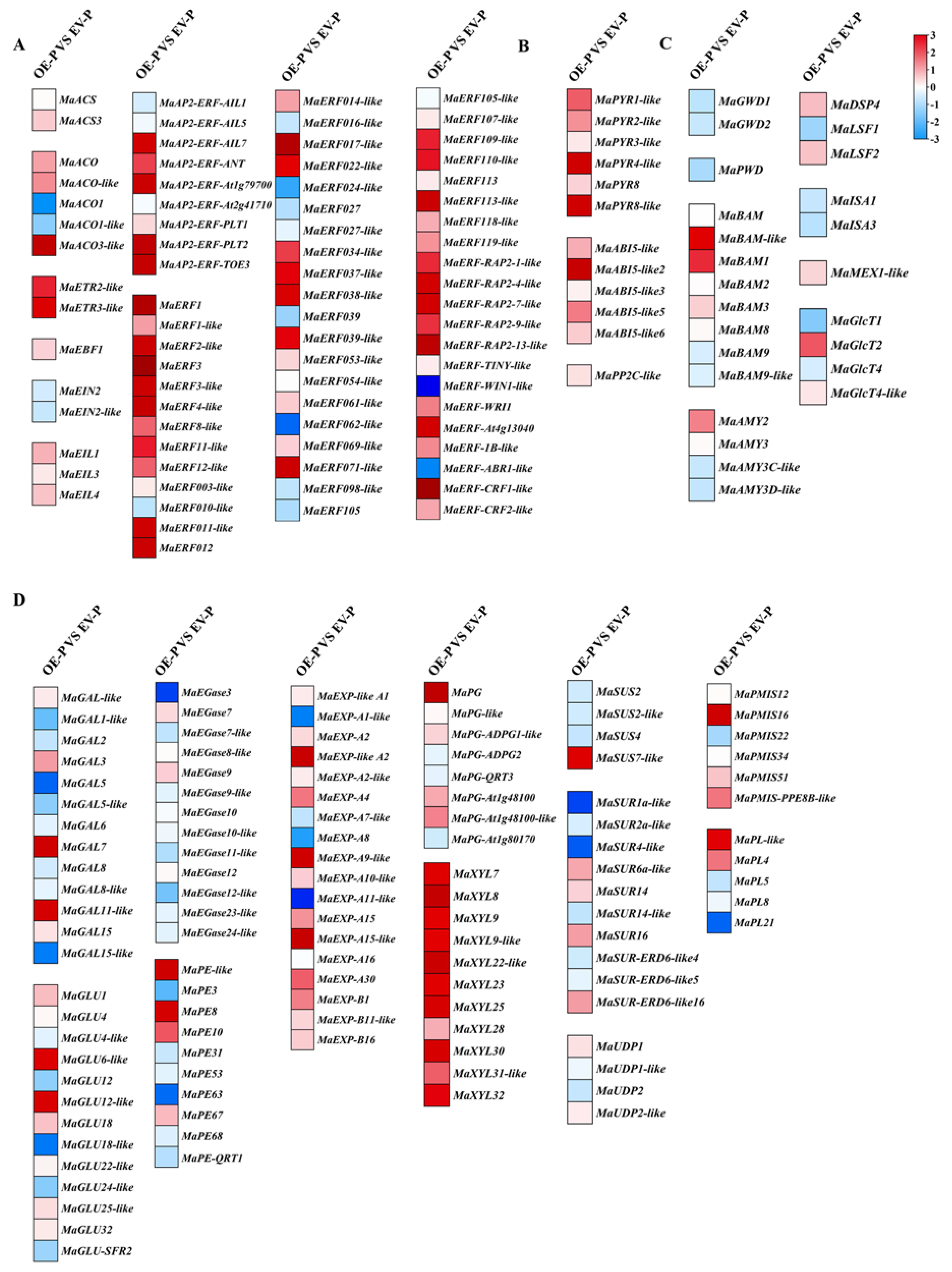 Foods 11 03882 g009 Foods 11 03882 g009