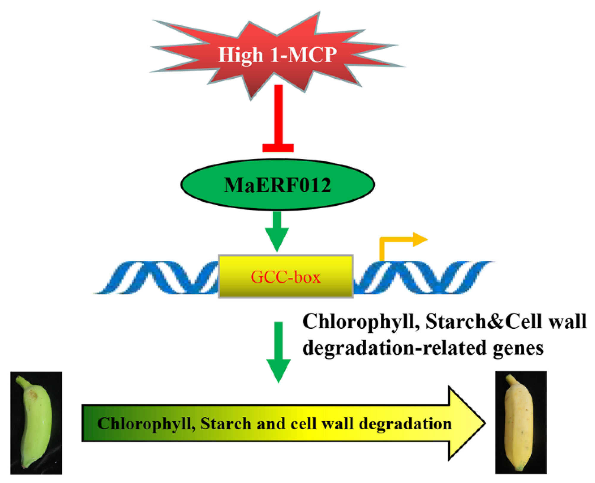 Foods 11 03882 g010 Foods 11 03882 g010