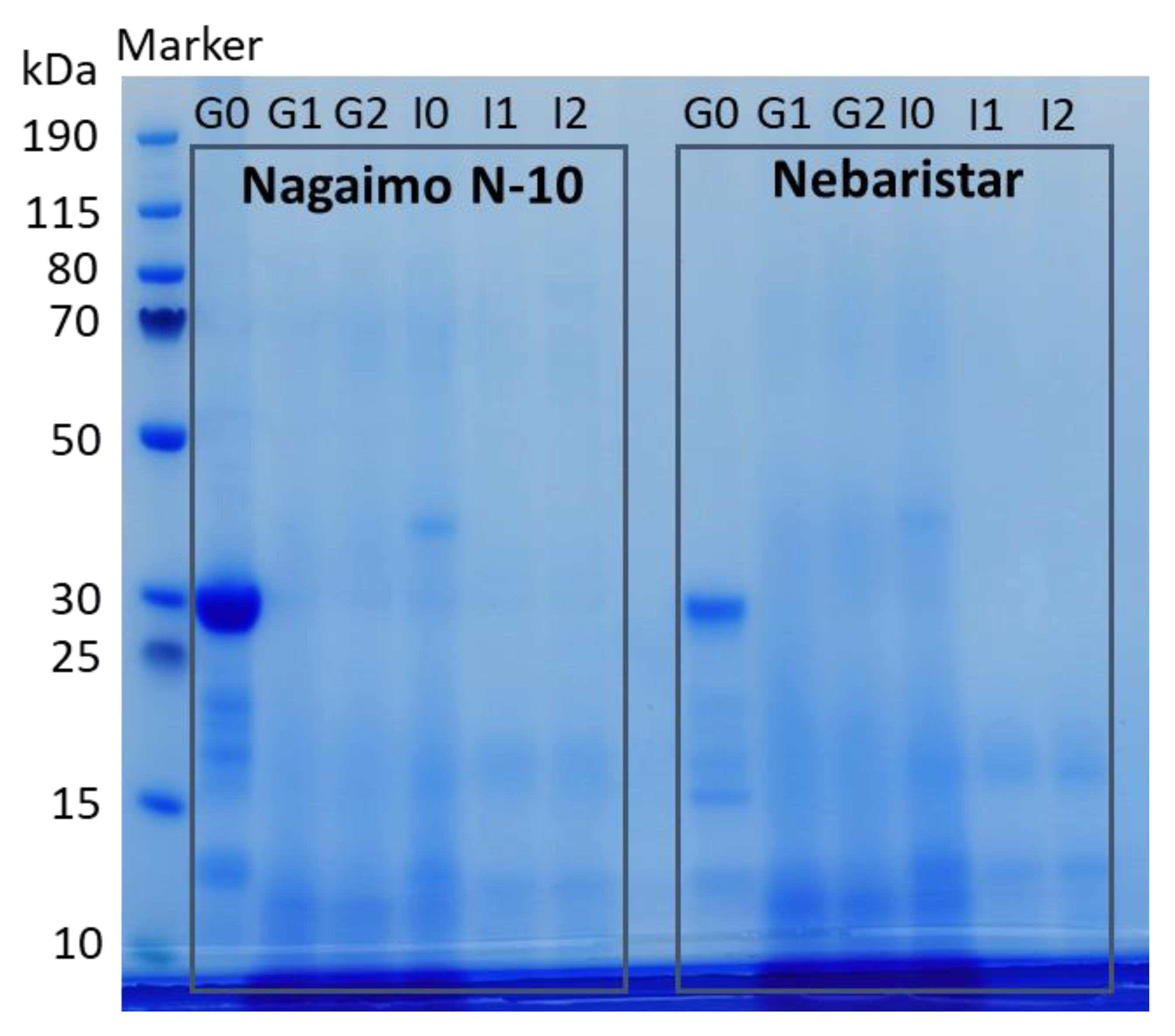 Foods 11 03892 g003 Foods 11 03892 g003