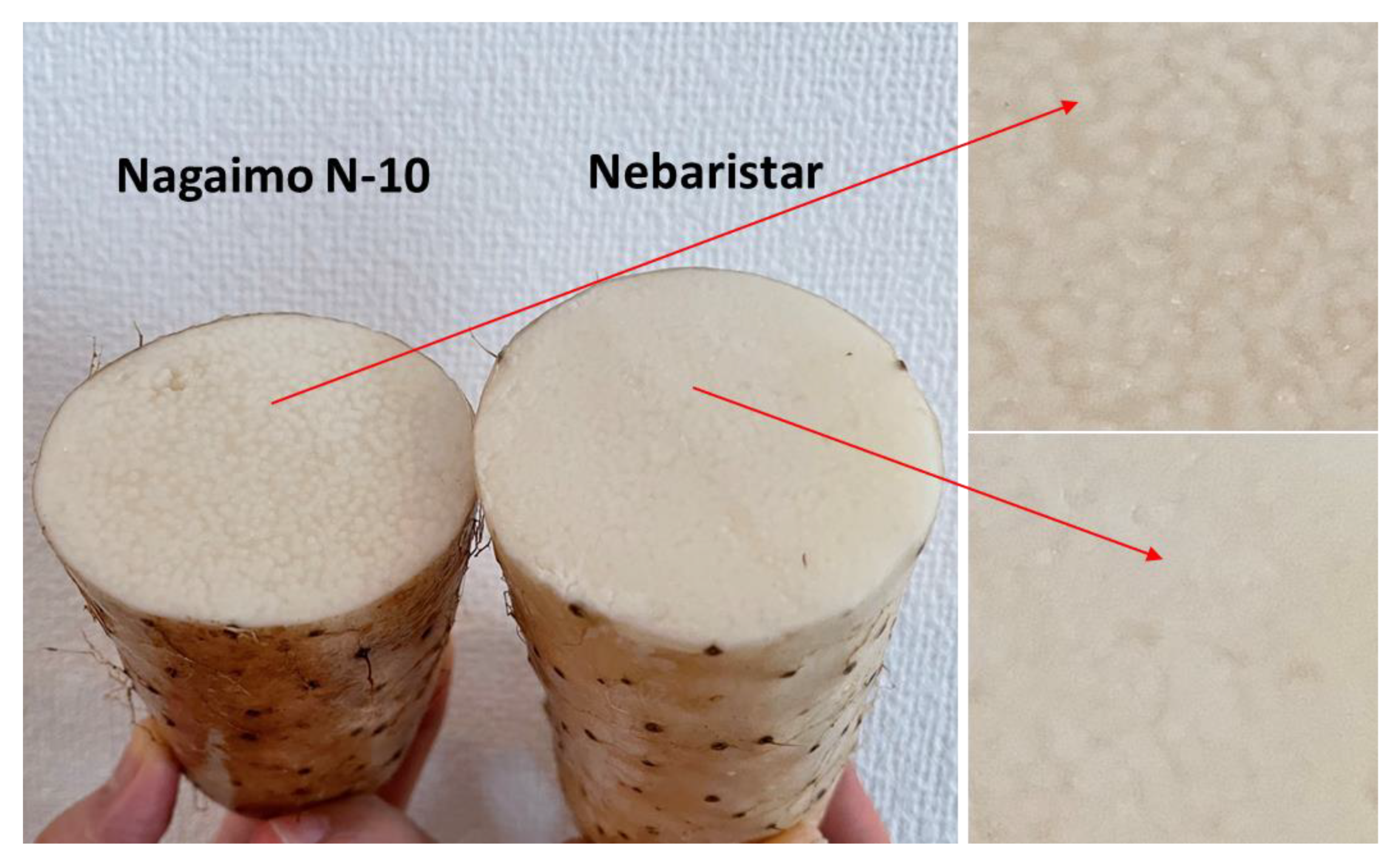 Foods 11 03892 g0a1 Foods 11 03892 g0a1