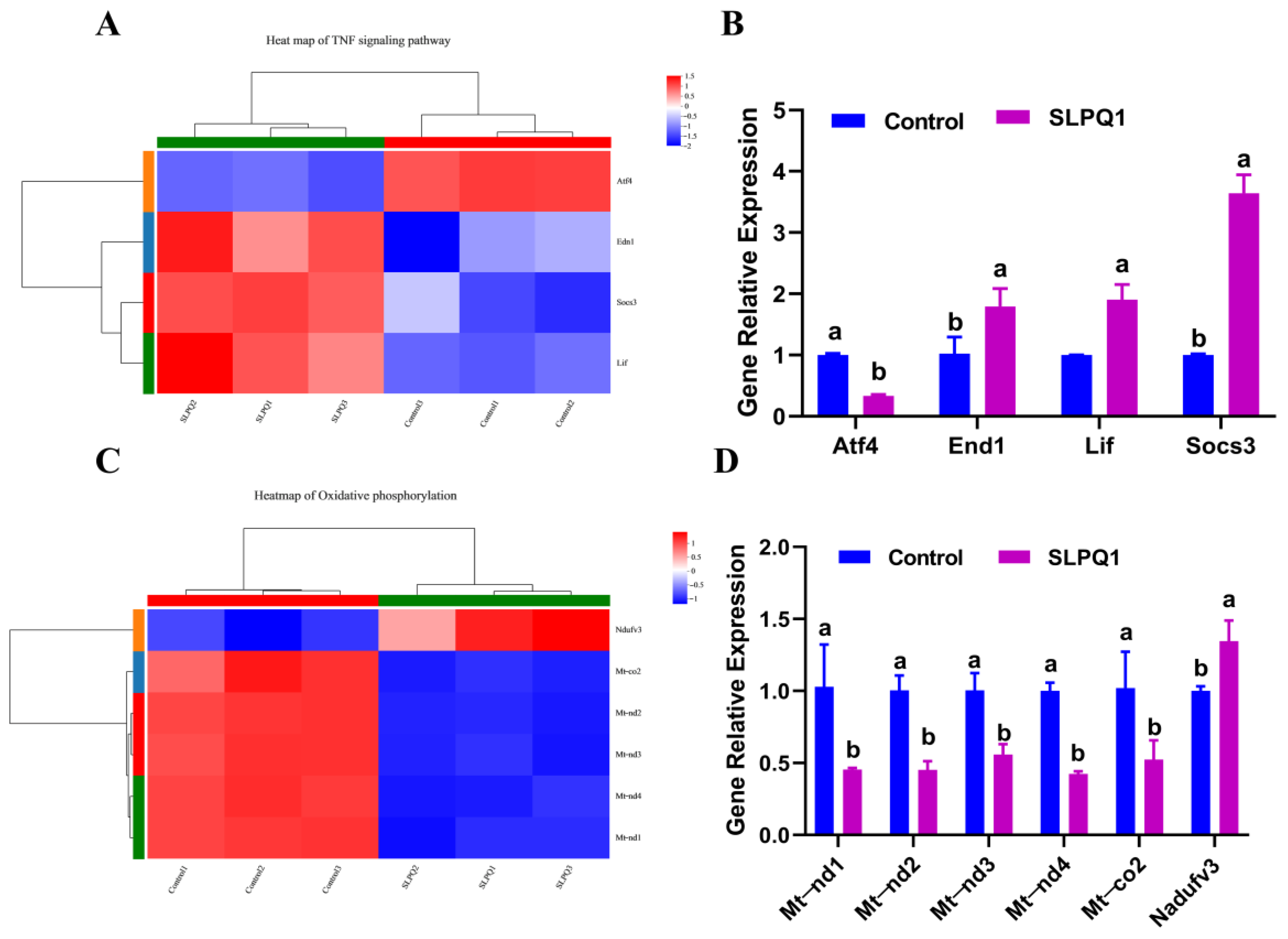 Foods 11 03895 g005 Foods 11 03895 g005
