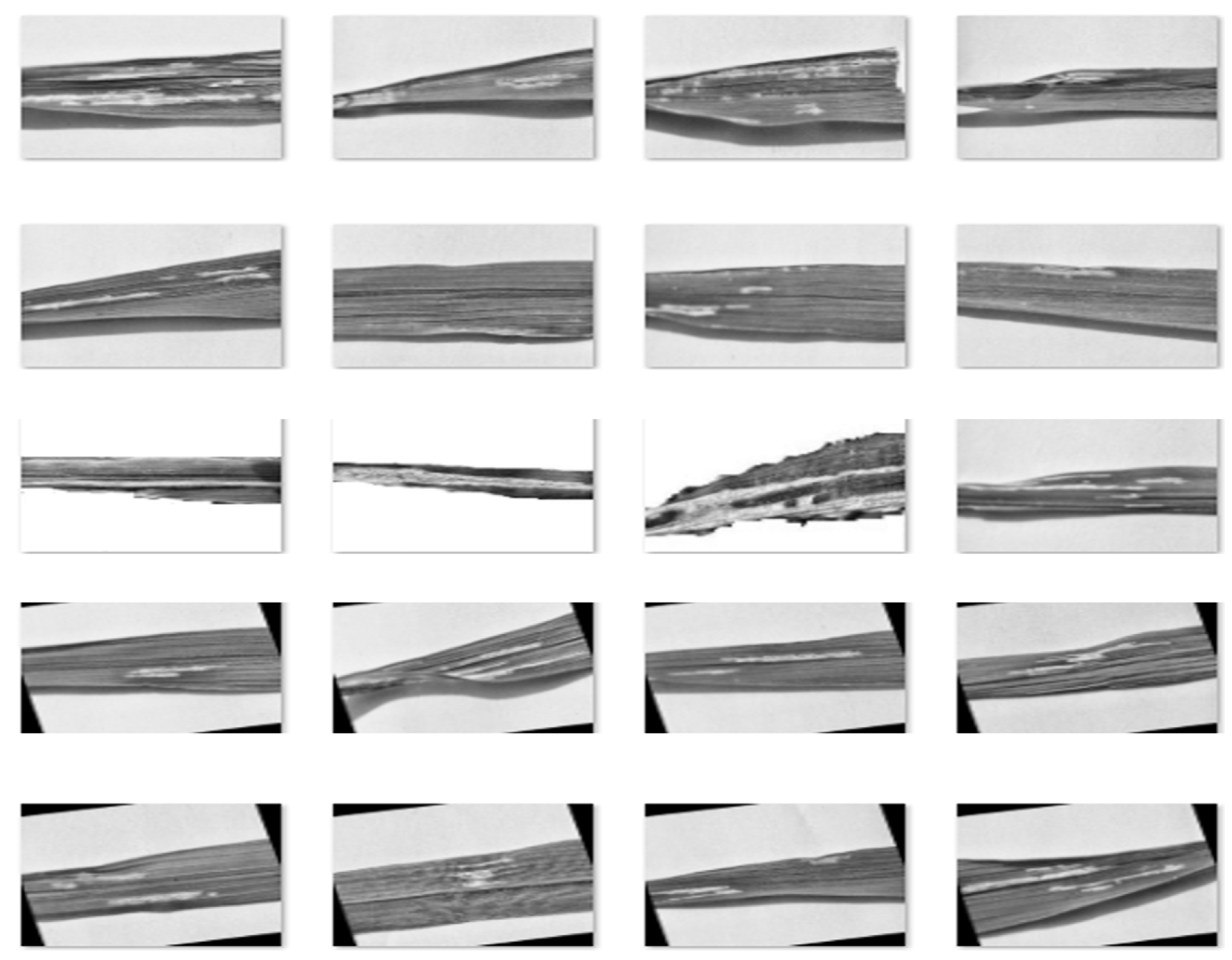 Foods 11 03914 g009 Foods 11 03914 g009