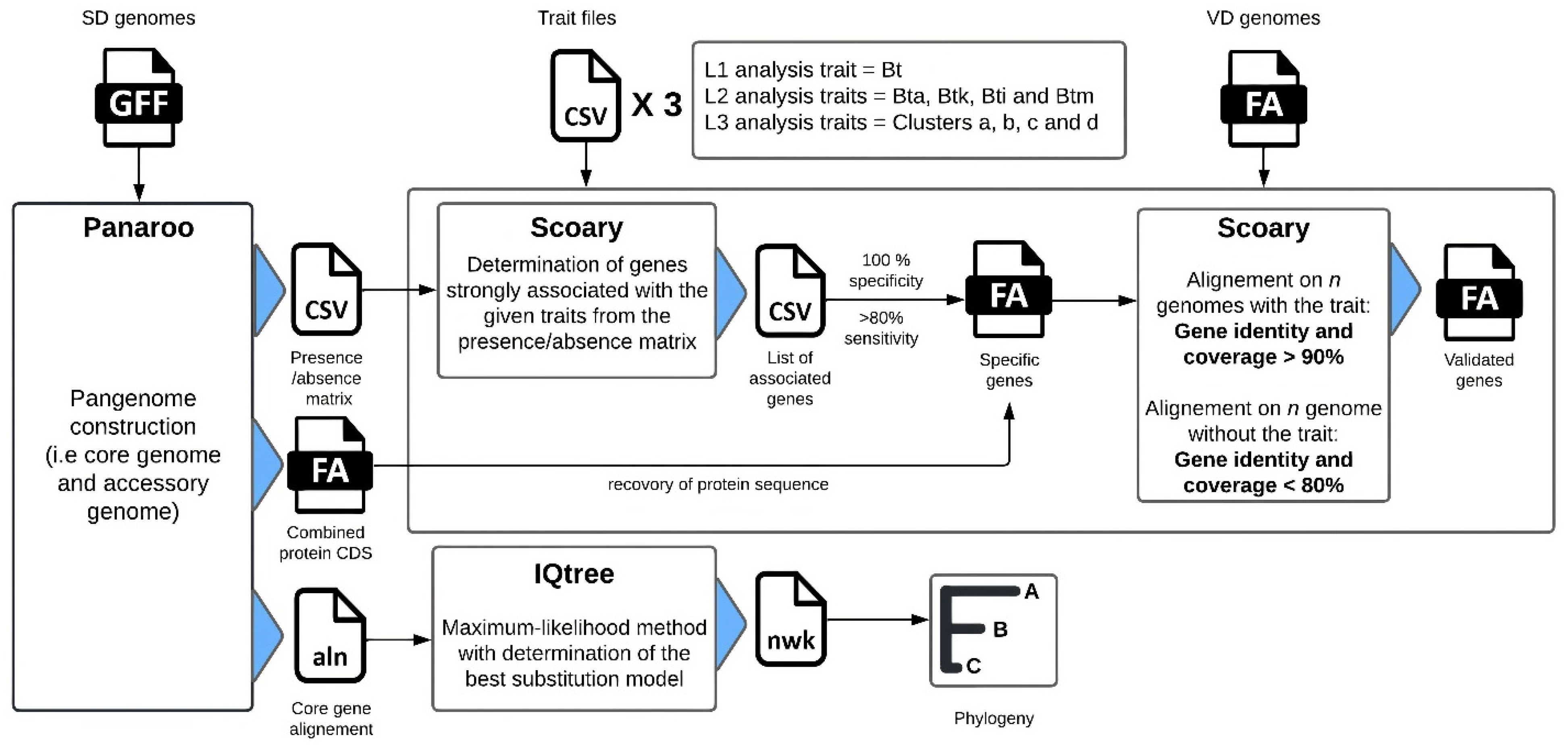 Foods 11 03924 g001 Foods 11 03924 g001