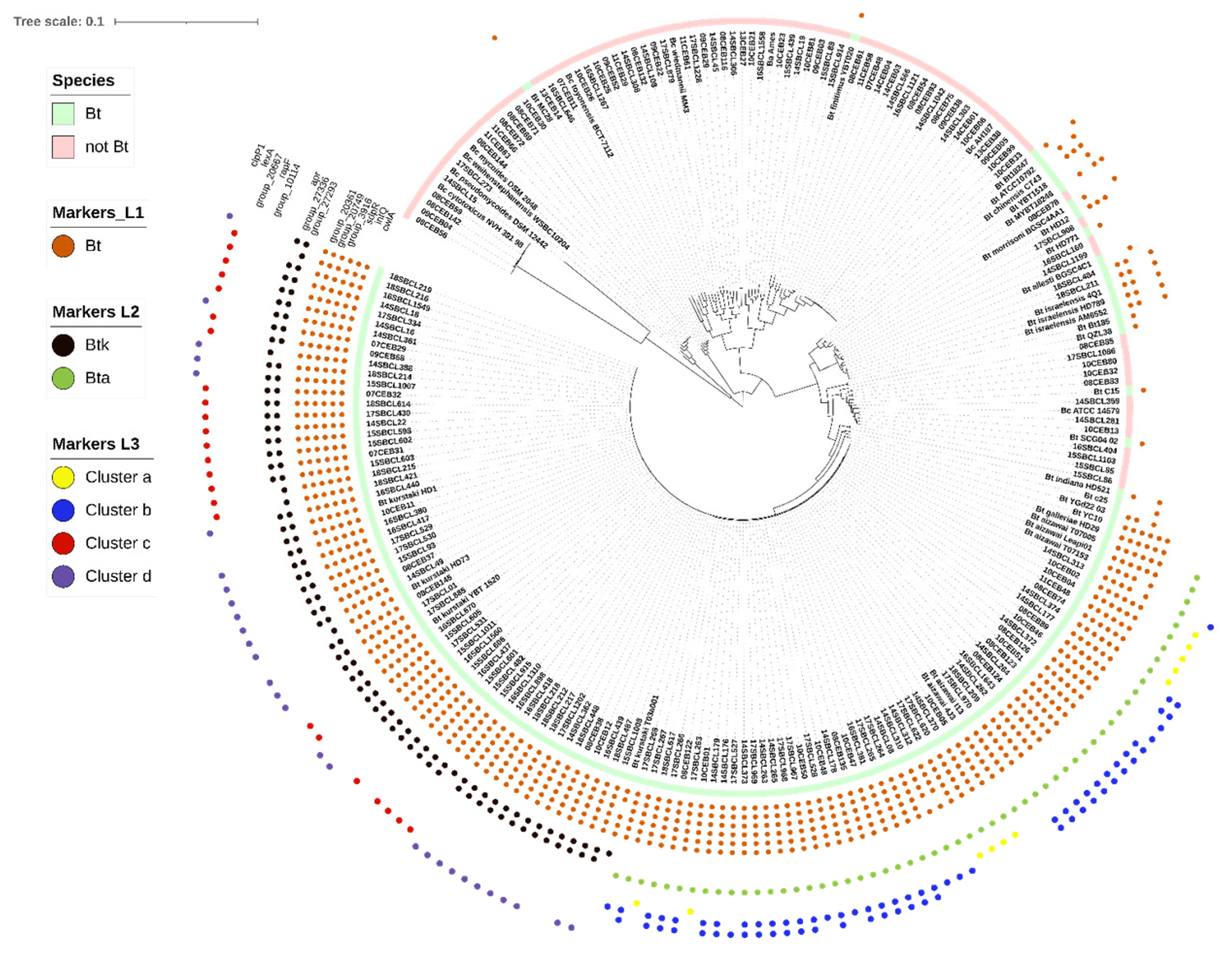 Foods 11 03924 g003 Foods 11 03924 g003