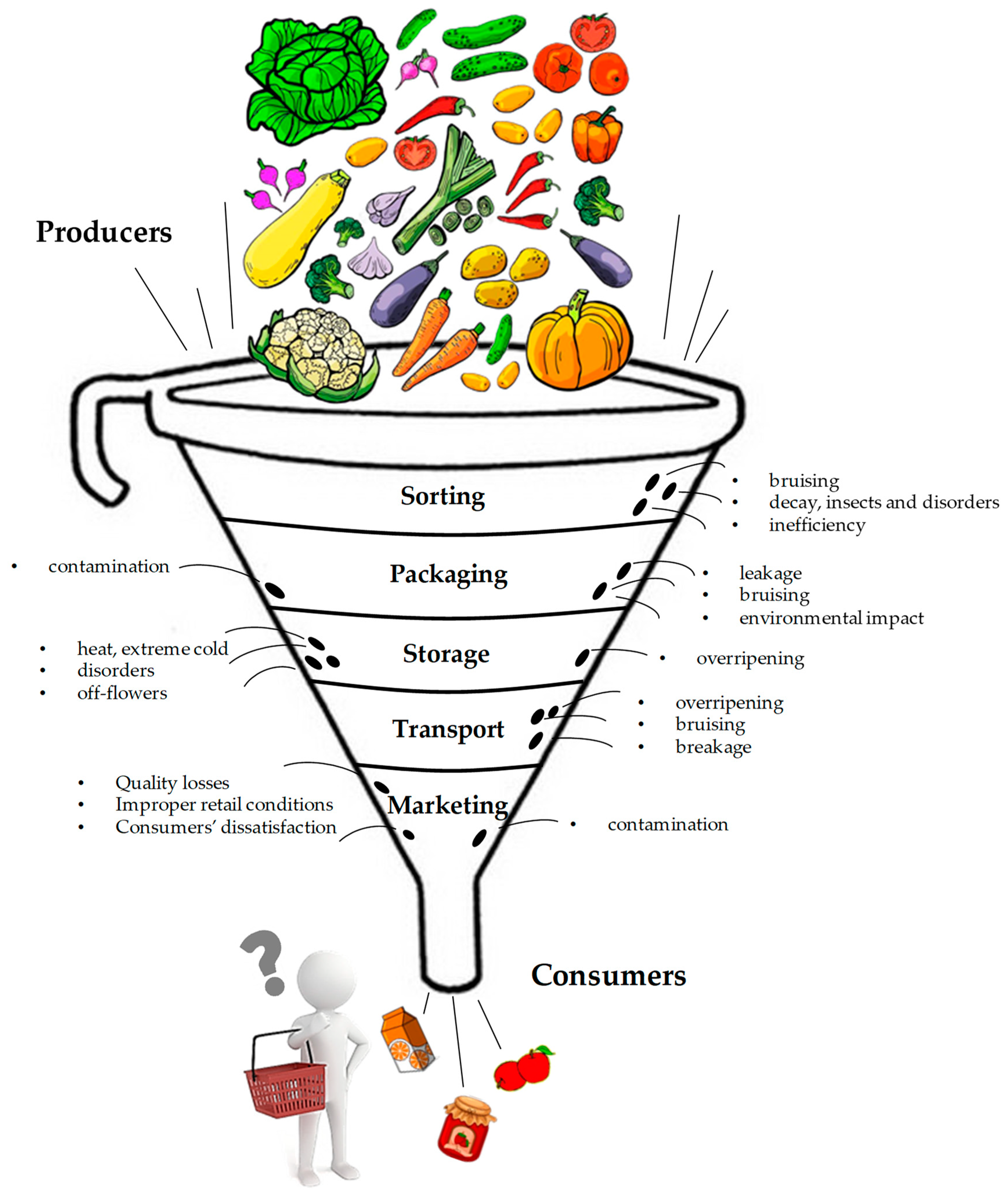 Full article: Selection of optimal ripening stage of papaya fruit (Carica  papaya L.) and vacuum frying conditions for chips making