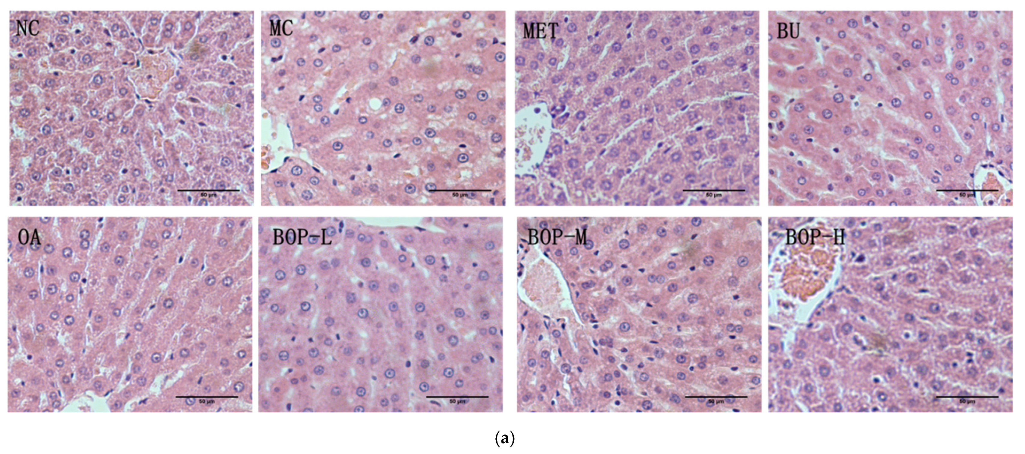 Foods 11 03938 g004a