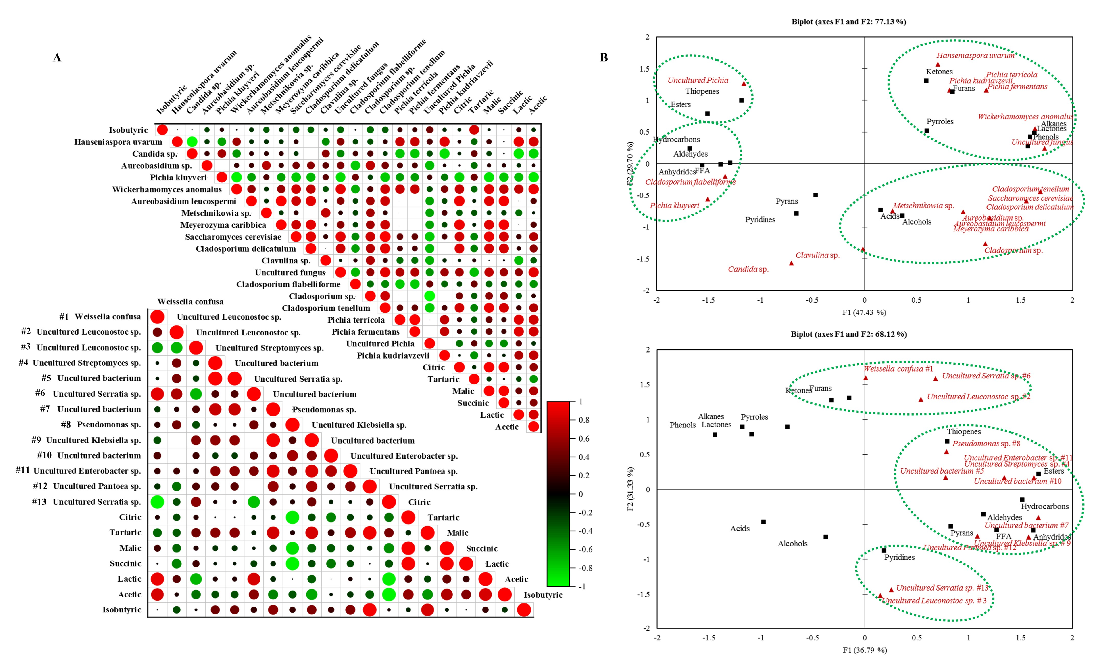 Foods 11 03945 g004 Foods 11 03945 g004