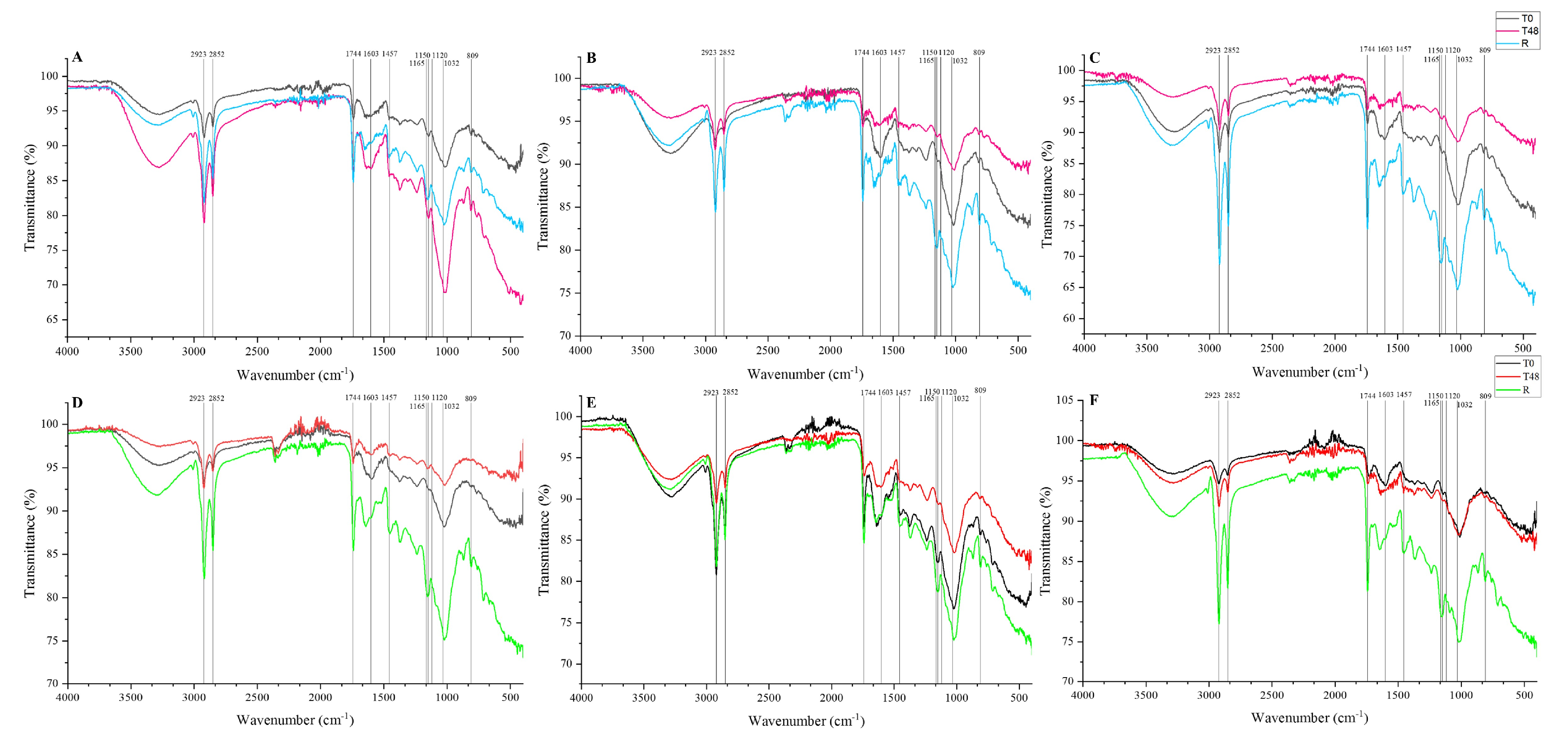 Foods 11 03945 g005 Foods 11 03945 g005