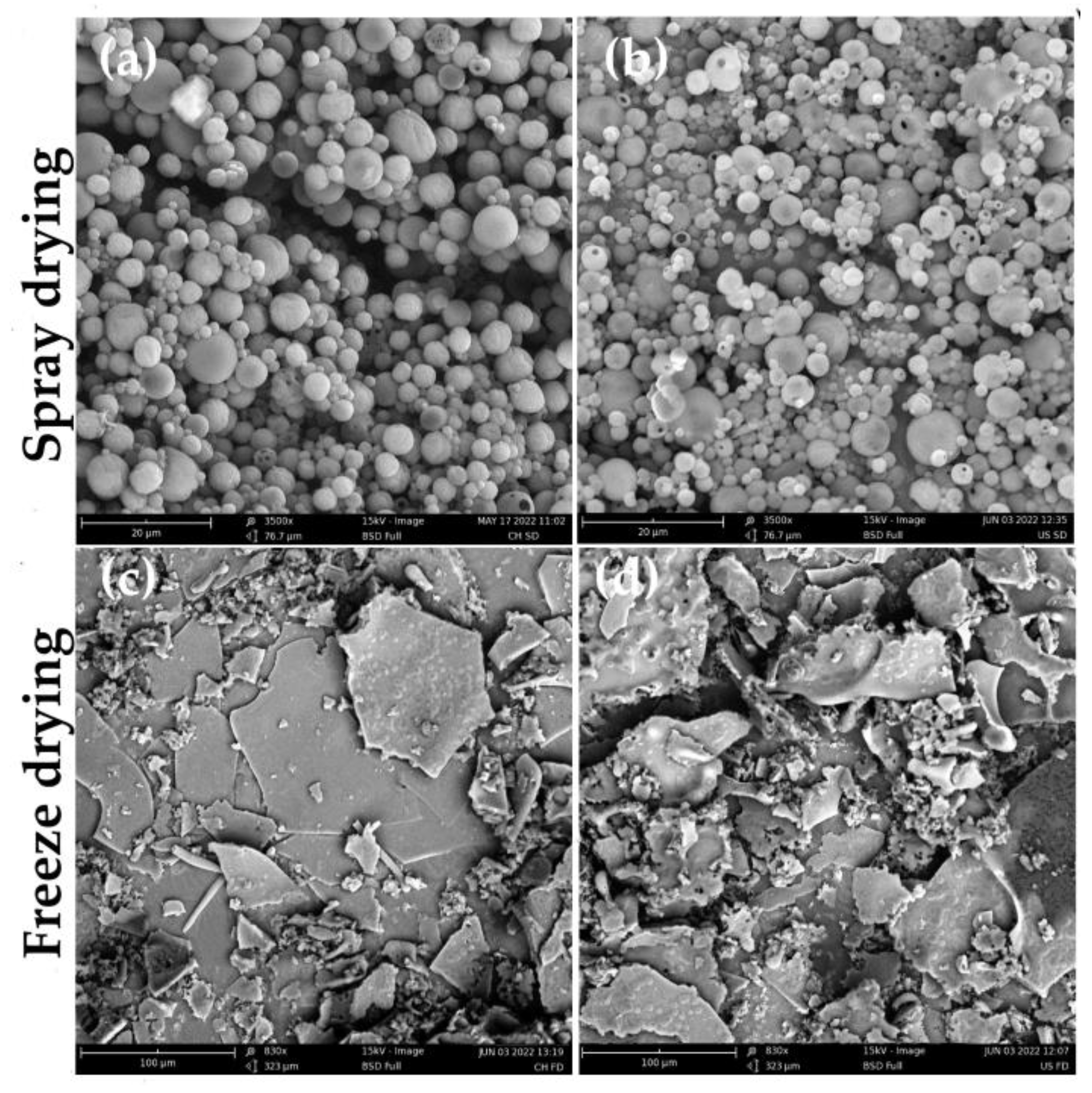 Foods 11 03950 g003 Foods 11 03950 g003