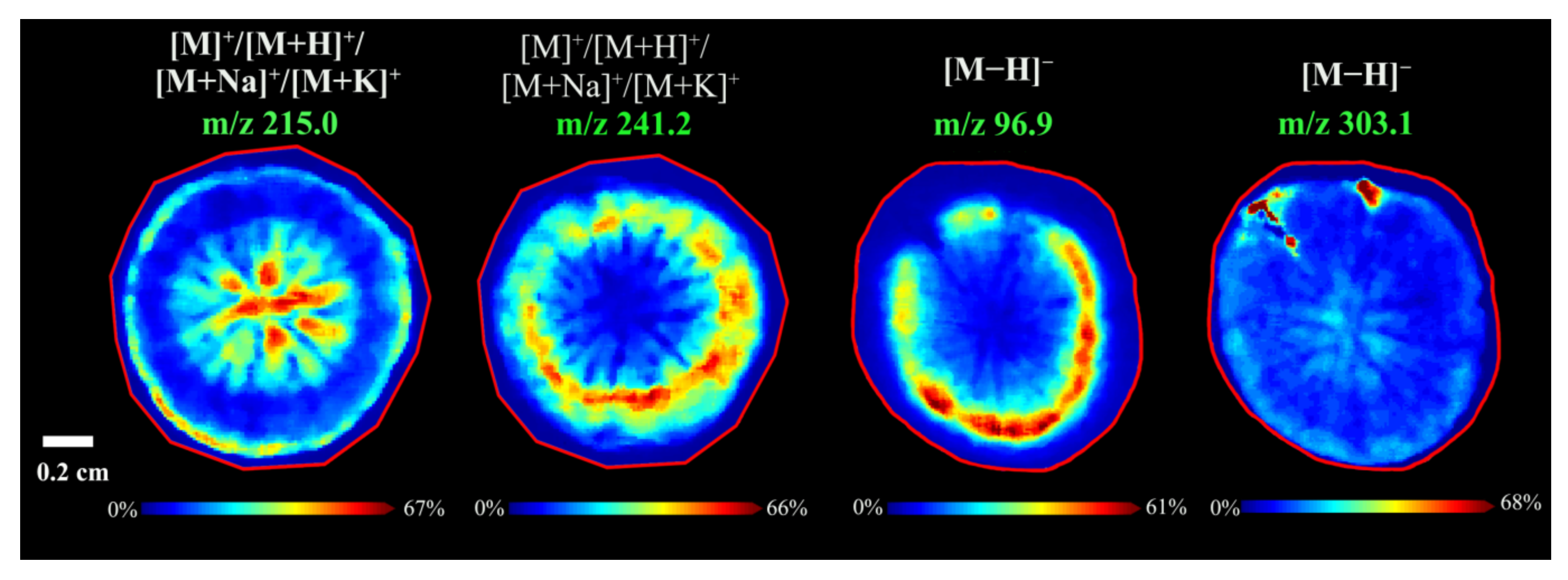 Foods 11 03957 g006 Foods 11 03957 g006