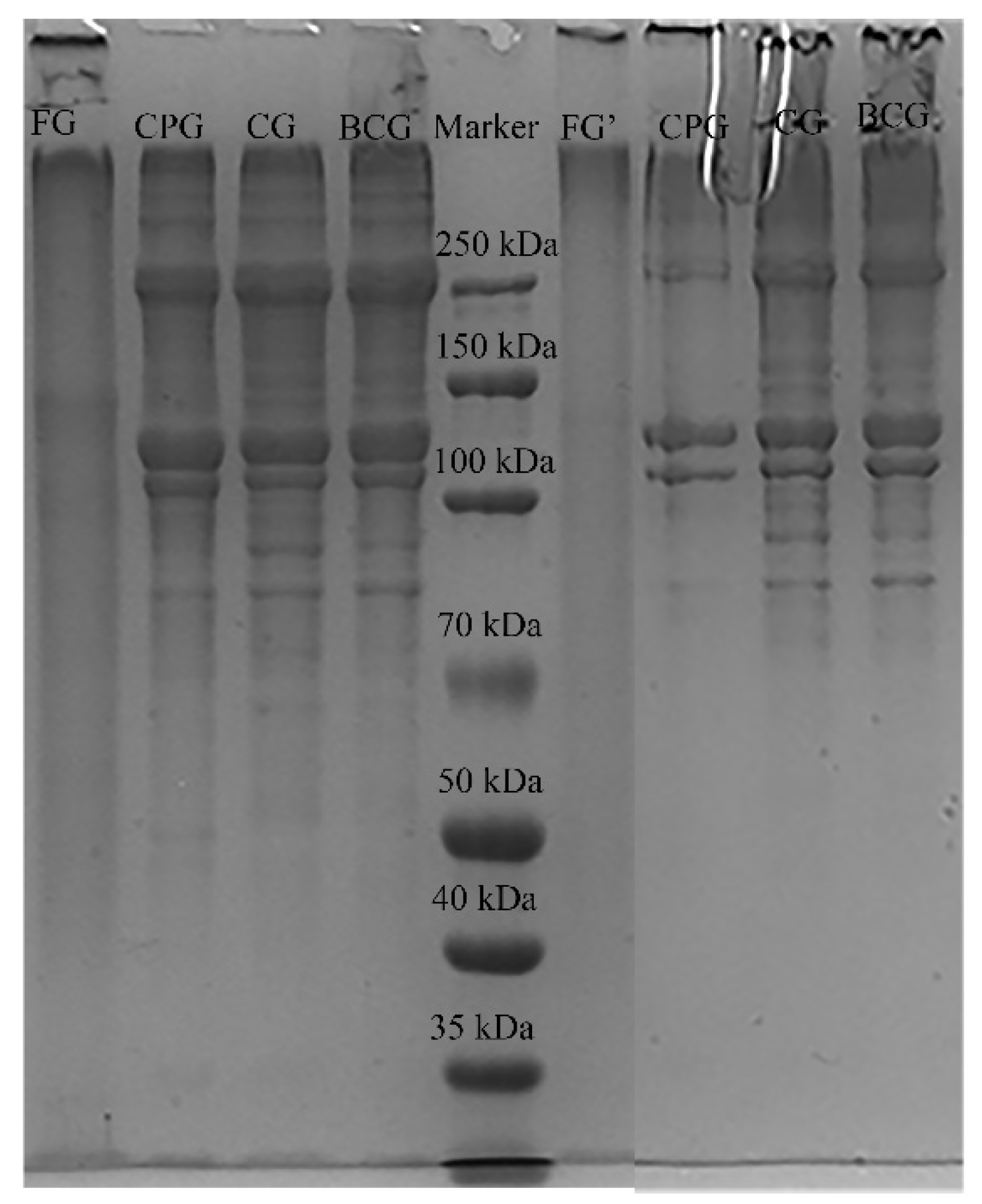 Foods 11 03960 g003 Foods 11 03960 g003