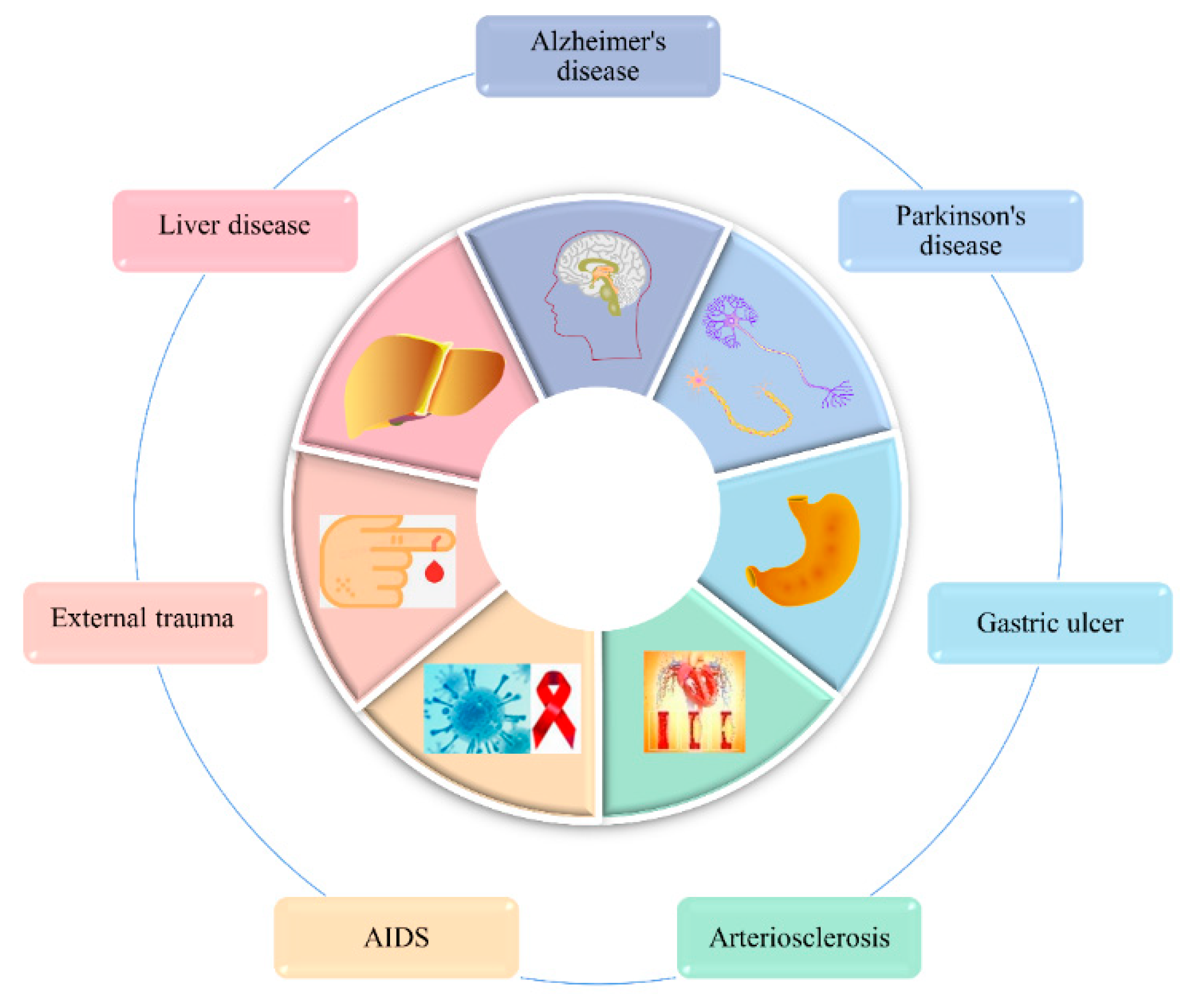 Foods 11 03961 g007 Foods 11 03961 g007