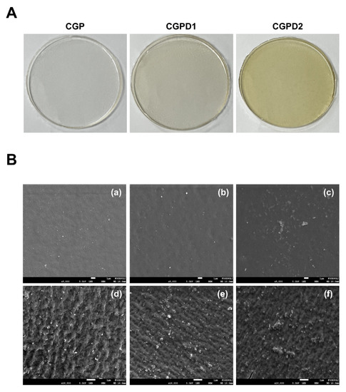 100 ％品質保証 Antimicrobial Activity of Chitosan/Gelatin/Poly(vinyl ジャケット・アウター