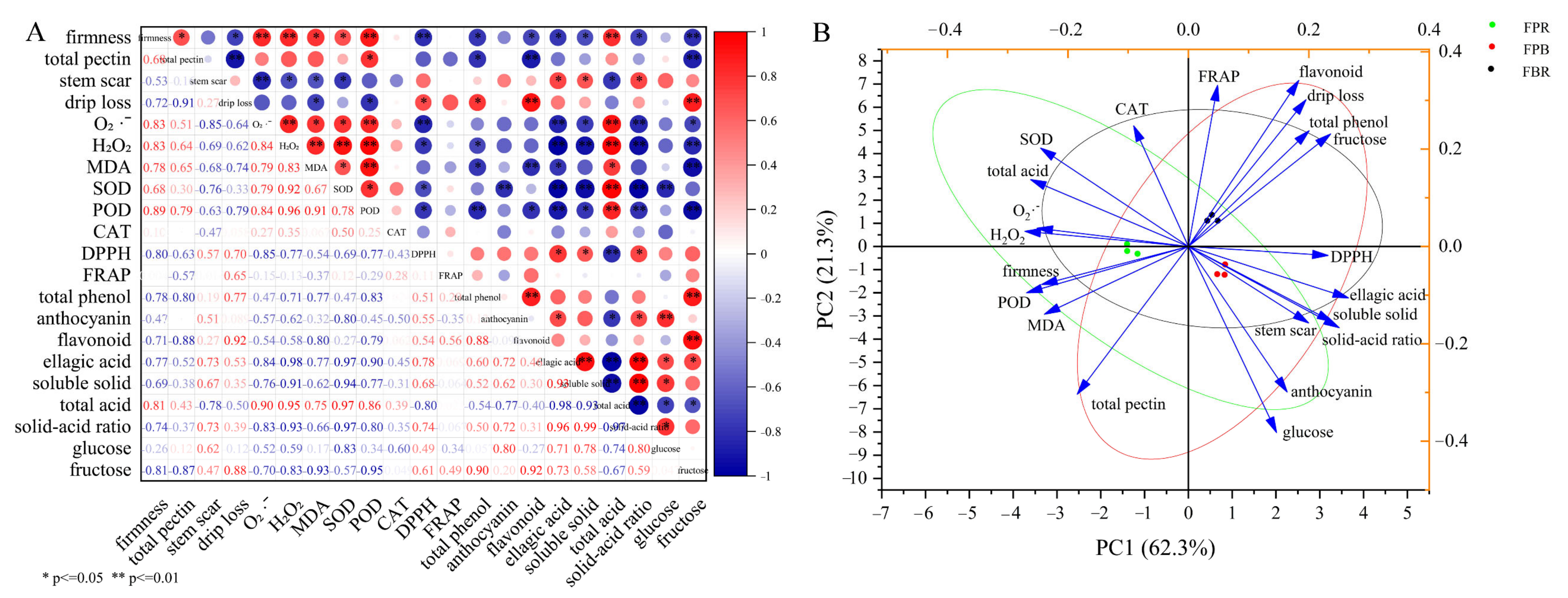 Foods 11 03965 g002 Foods 11 03965 g002