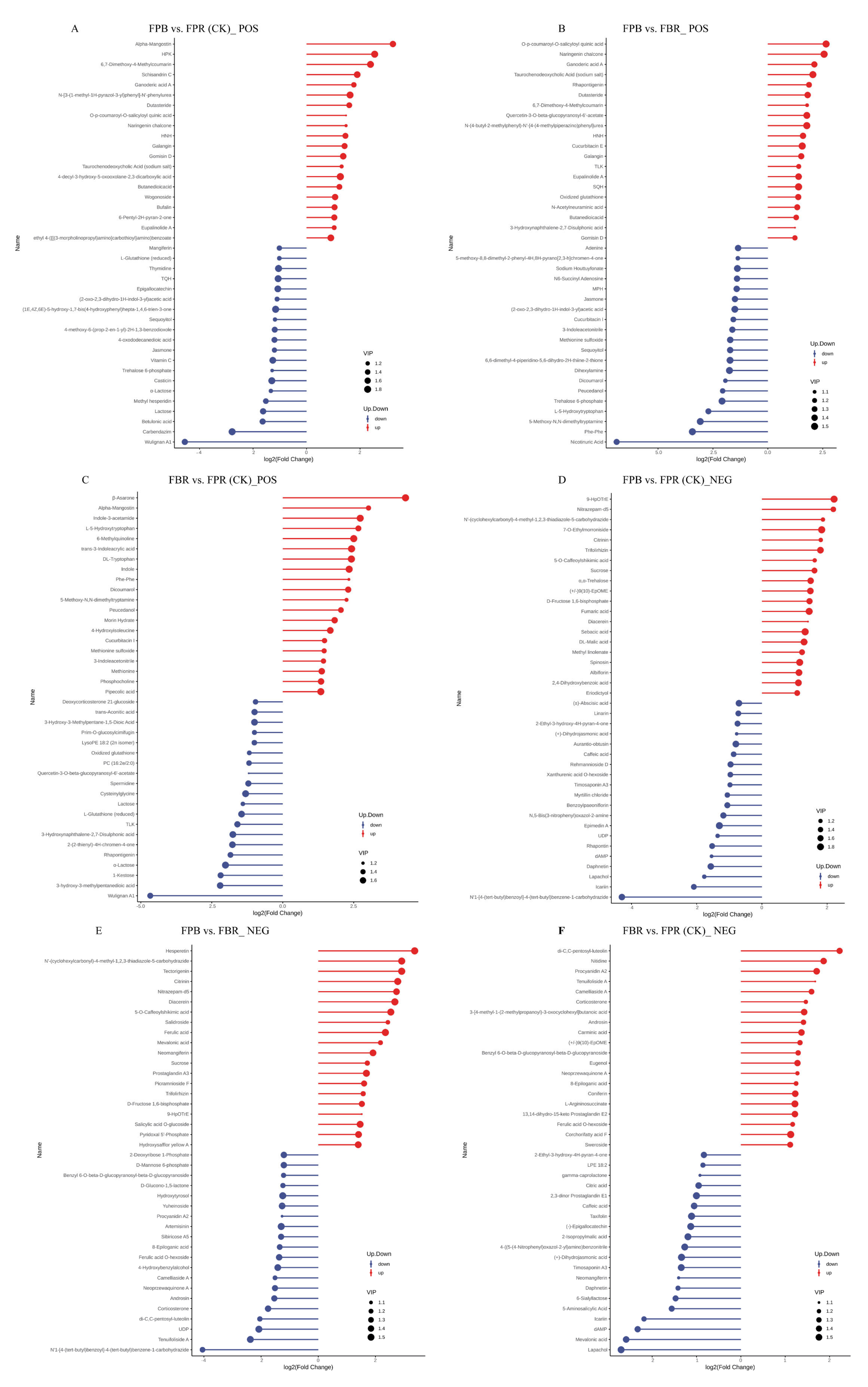Foods 11 03965 g005 Foods 11 03965 g005