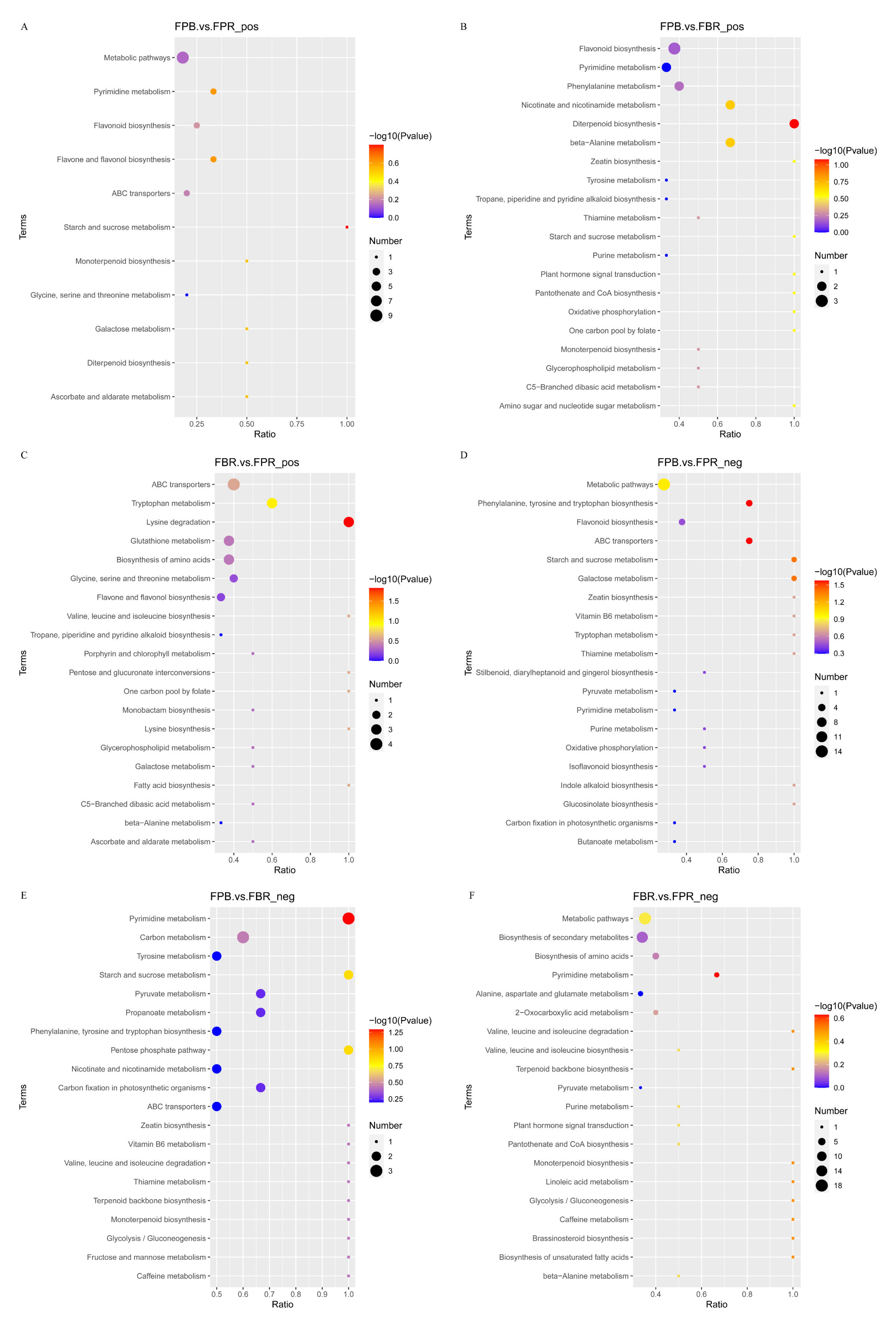 Foods 11 03965 g006 Foods 11 03965 g006