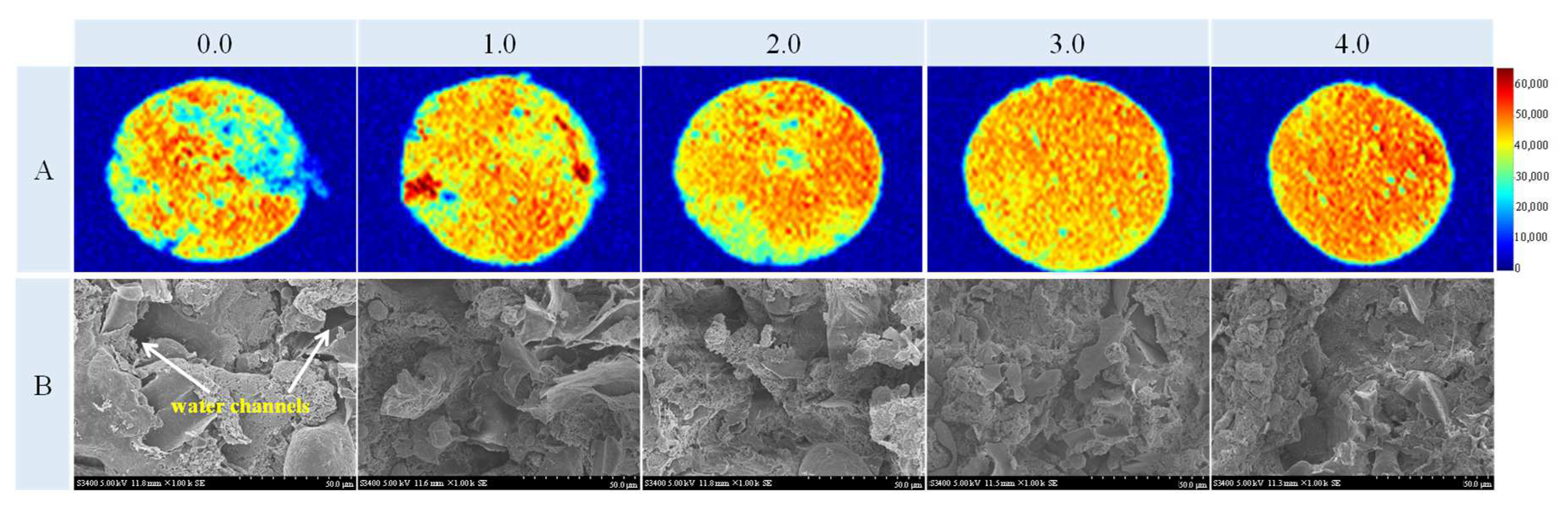 Foods 11 03978 g004 Foods 11 03978 g004