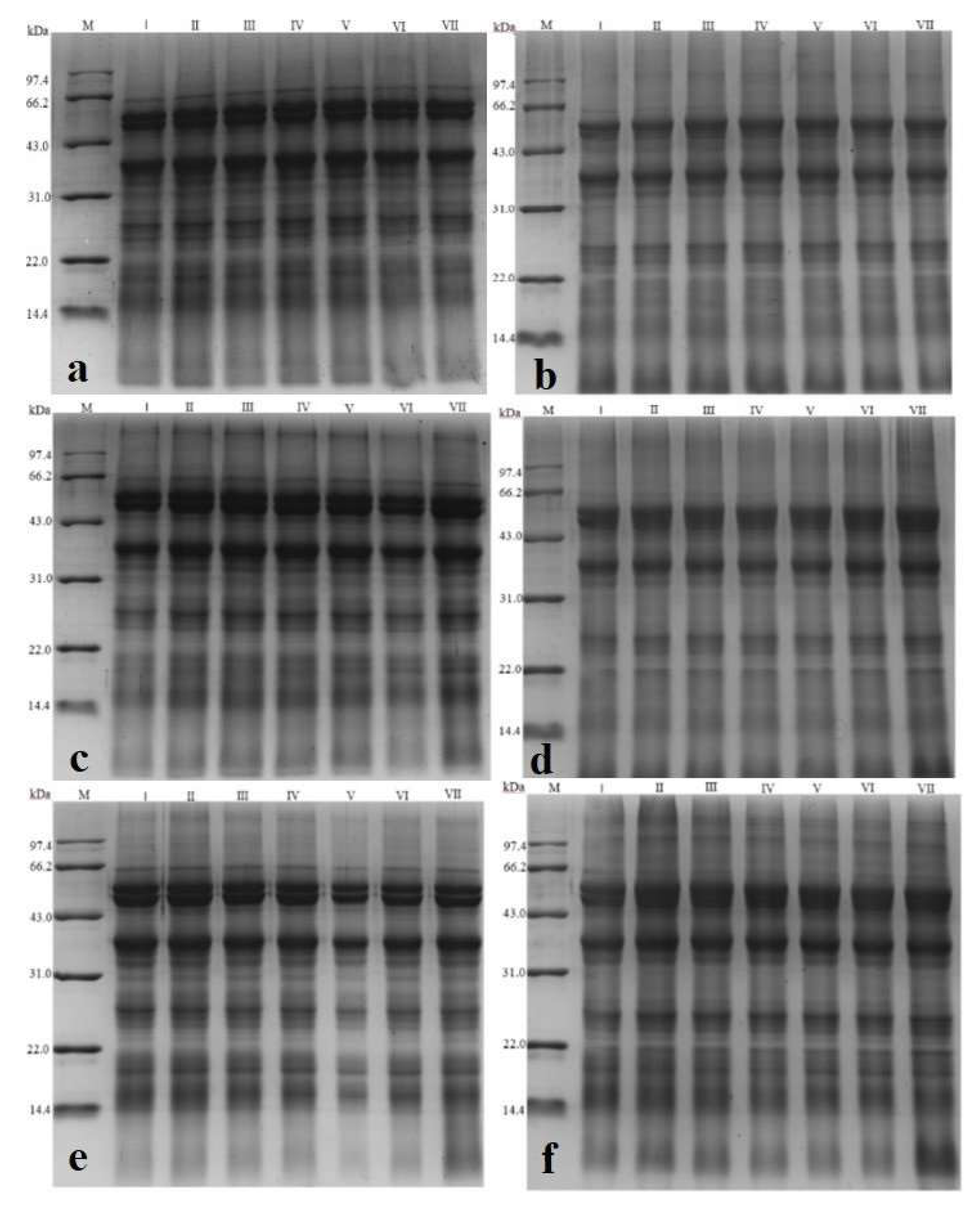 Foods 11 04001 g006a Foods 11 04001 g006a