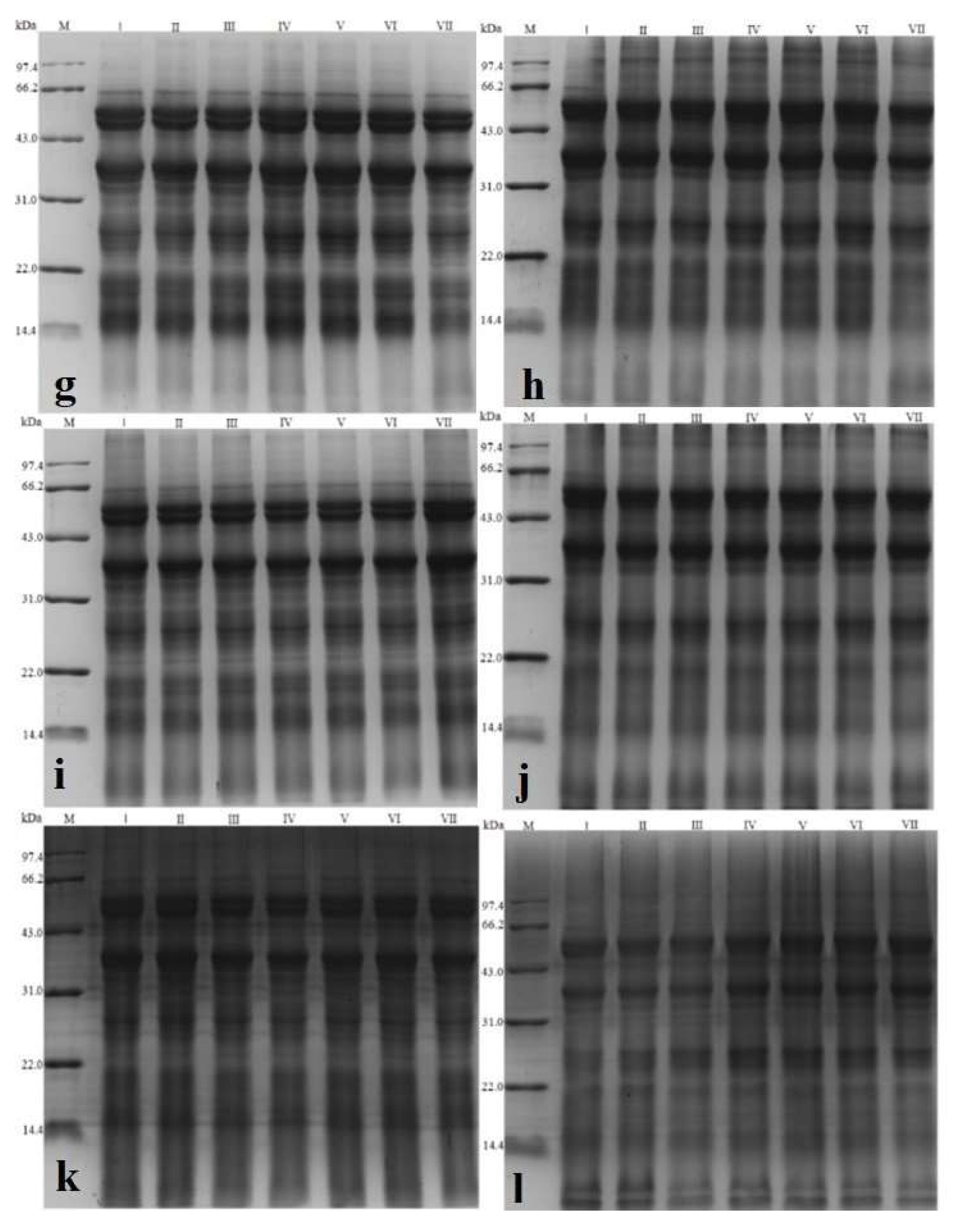 Foods 11 04001 g006b Foods 11 04001 g006b