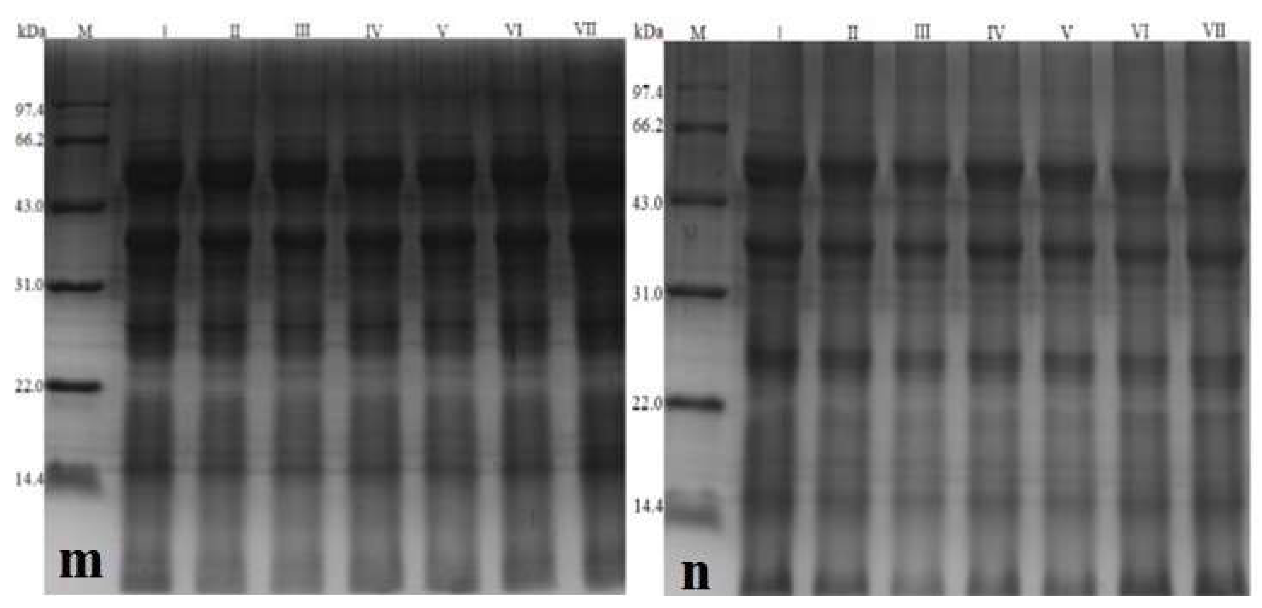 Foods 11 04001 g006c Foods 11 04001 g006c