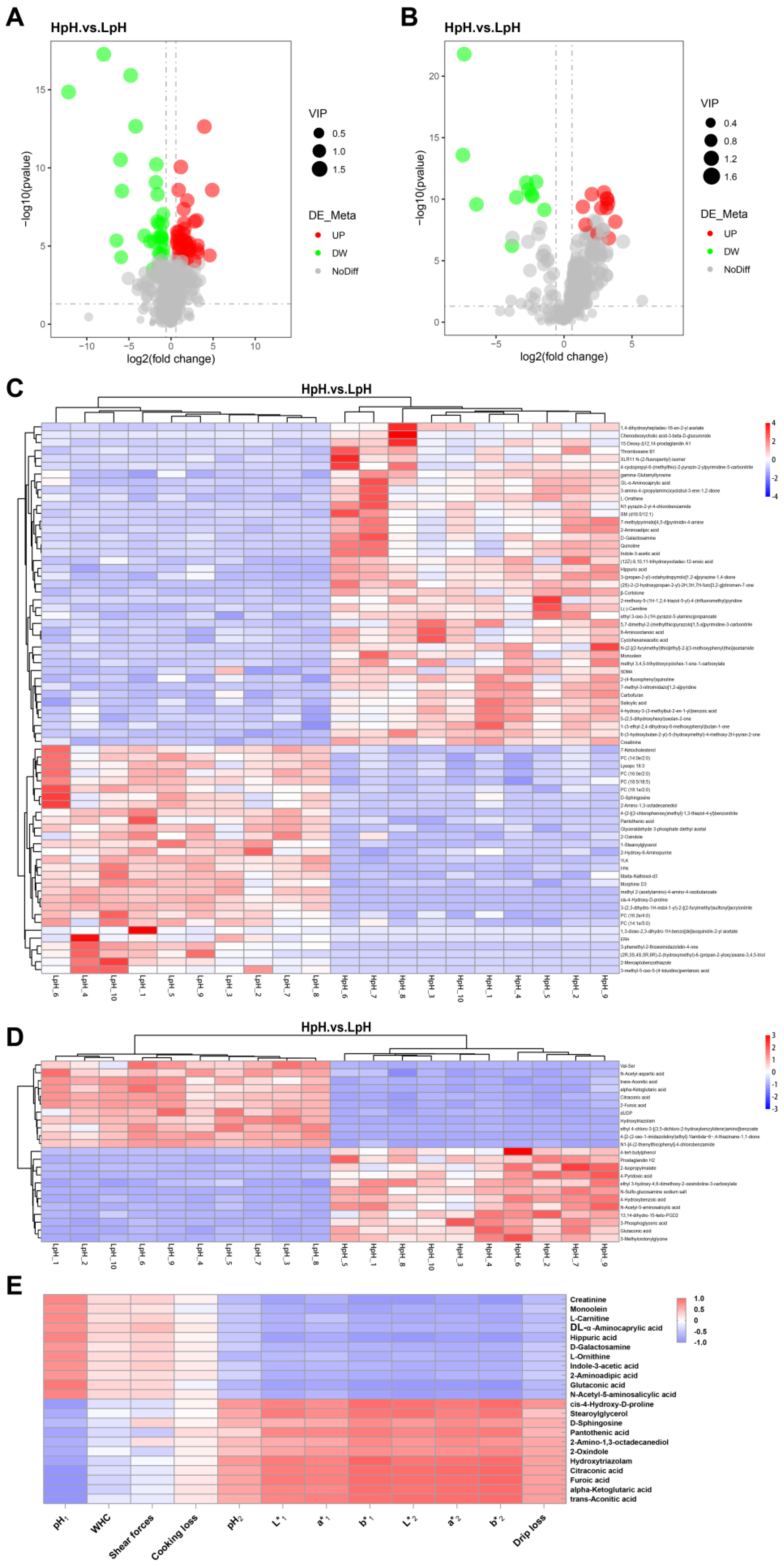 Foods 11 04005 g005 Foods 11 04005 g005