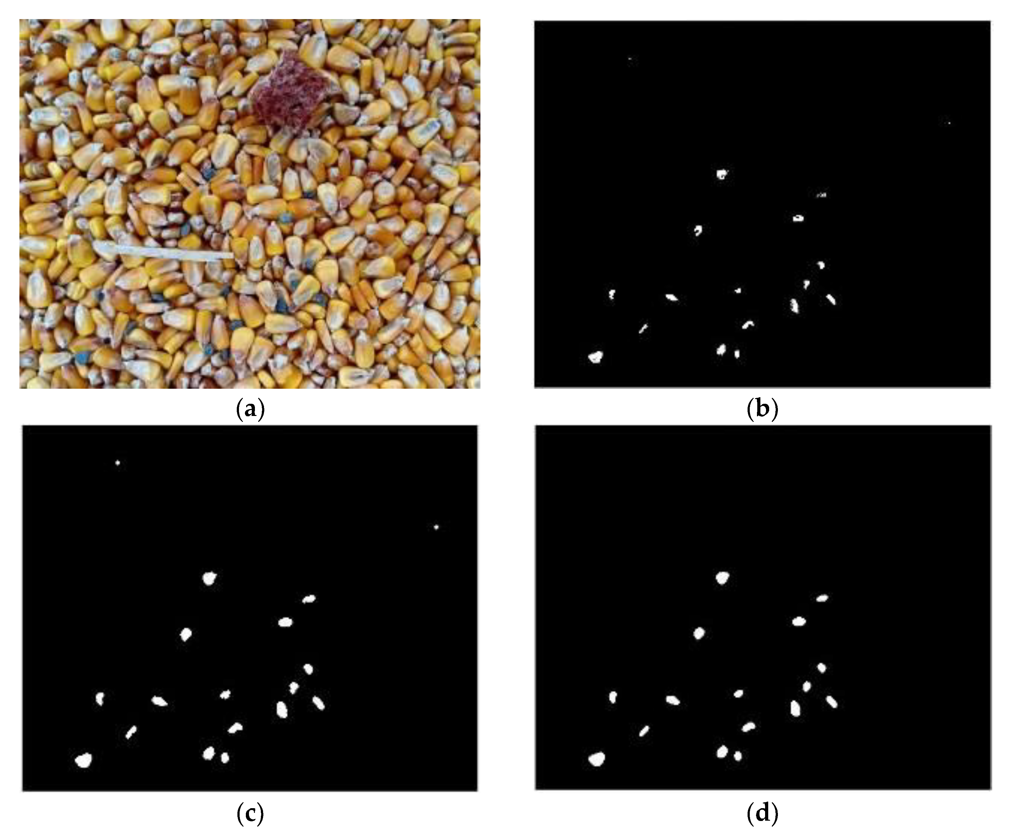 Foods 11 04009 g009 Foods 11 04009 g009