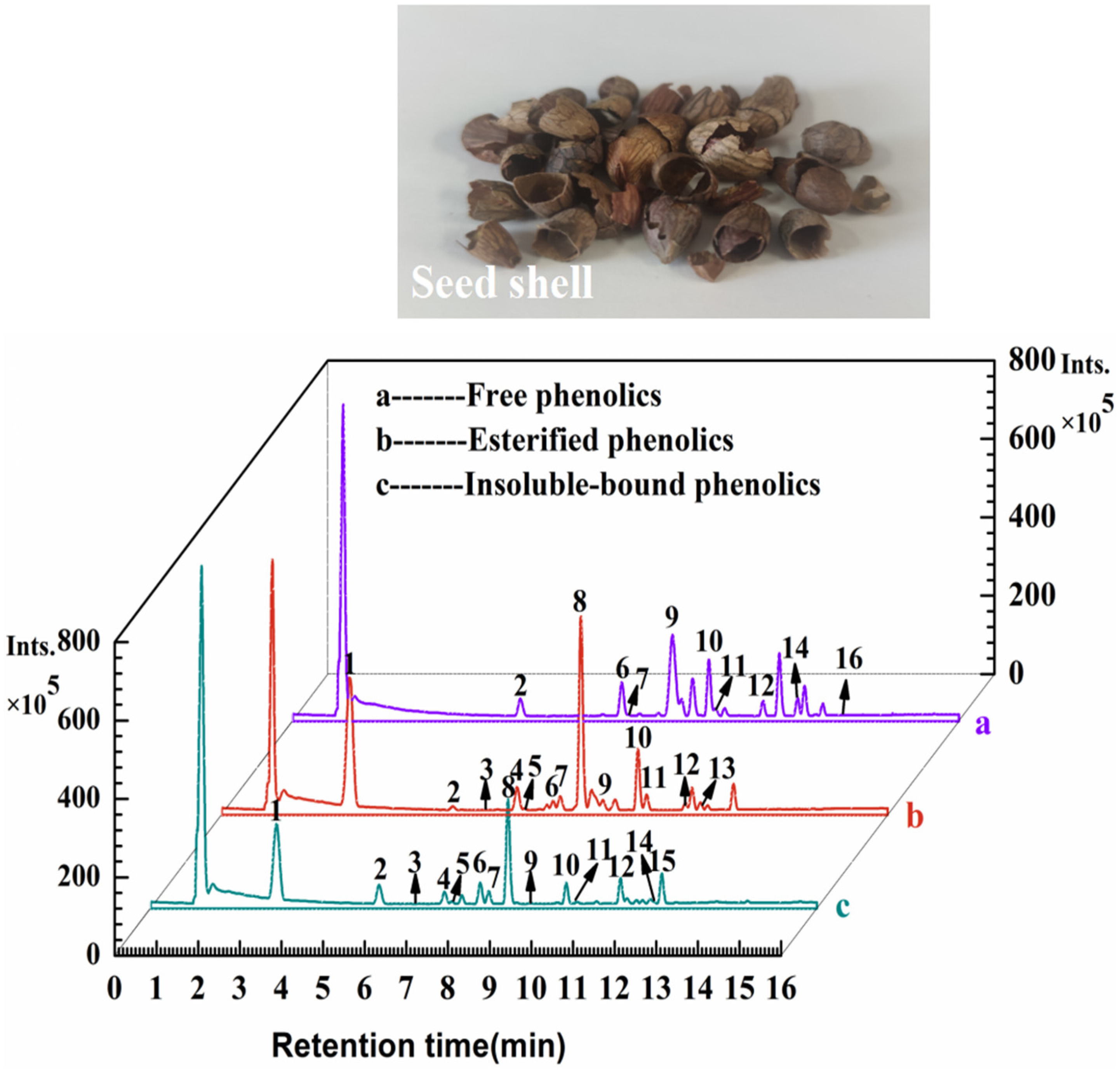 Foods 11 04015 g002 Foods 11 04015 g002
