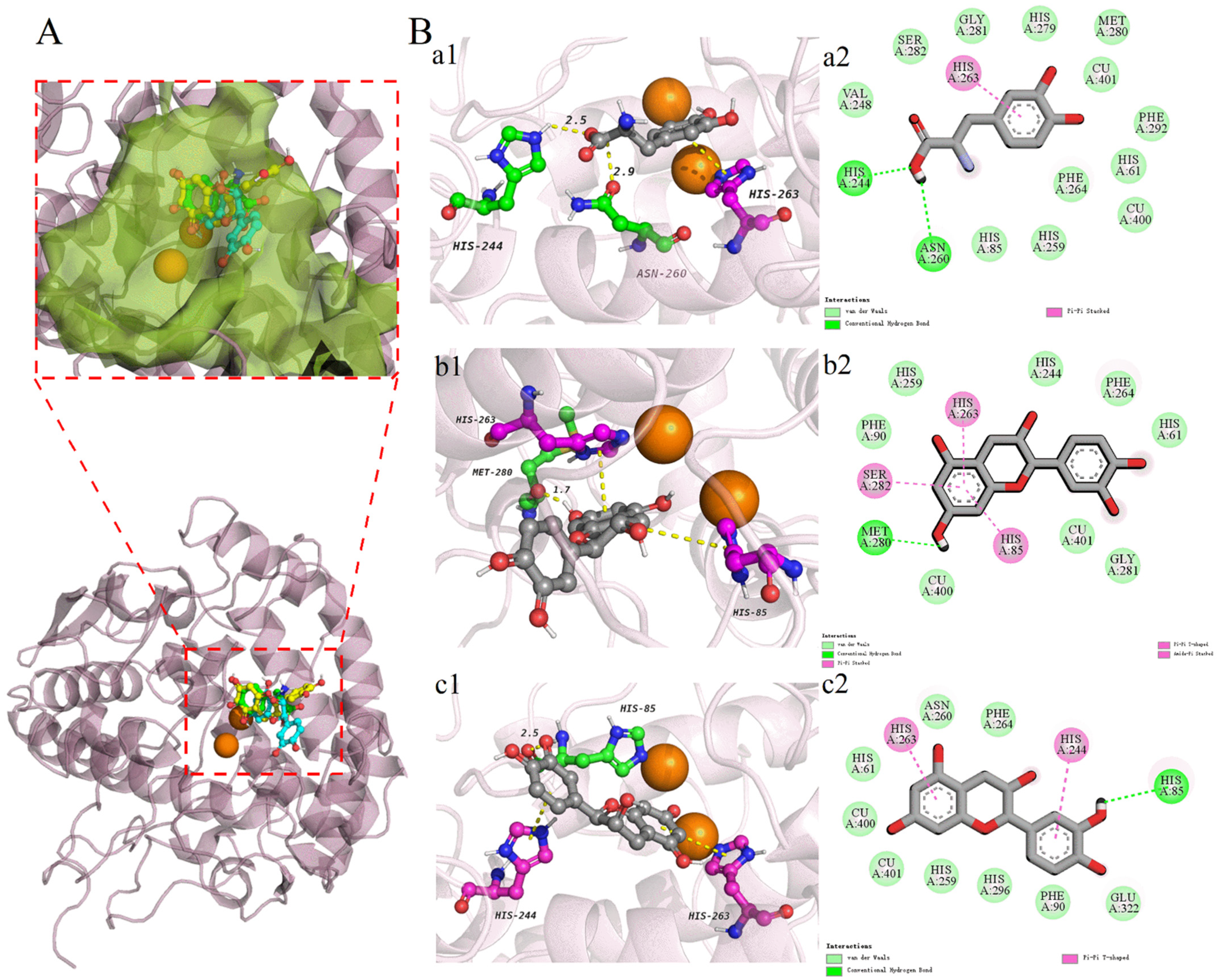 Foods 11 04015 g006 Foods 11 04015 g006