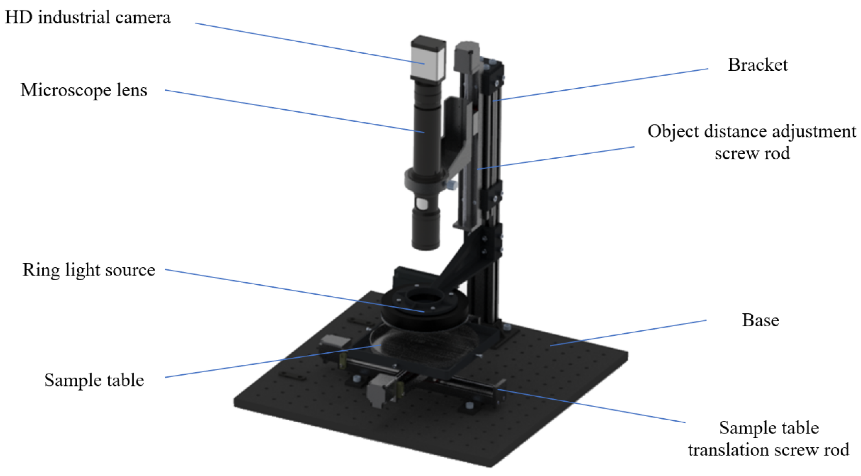 Foods 11 04031 g001 Foods 11 04031 g001
